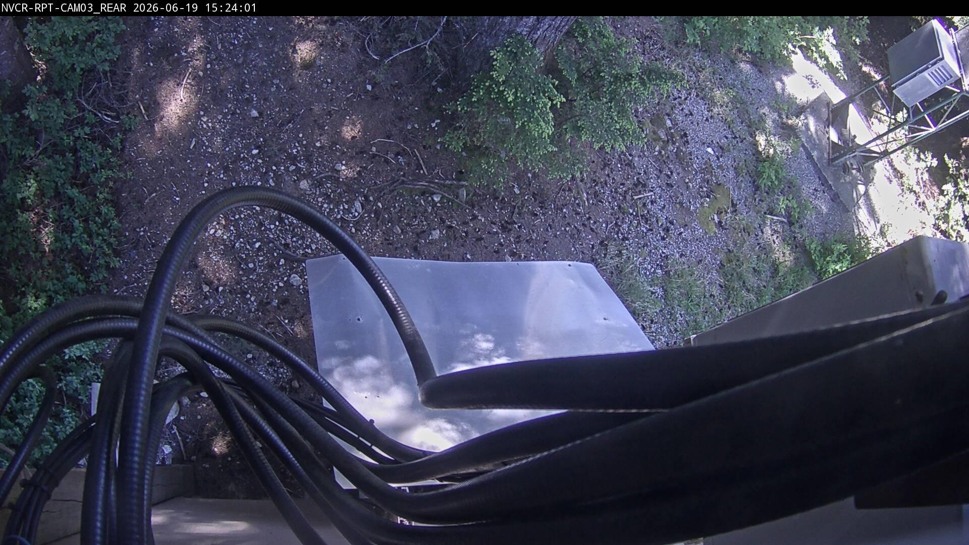 Web Cam History Image - 461