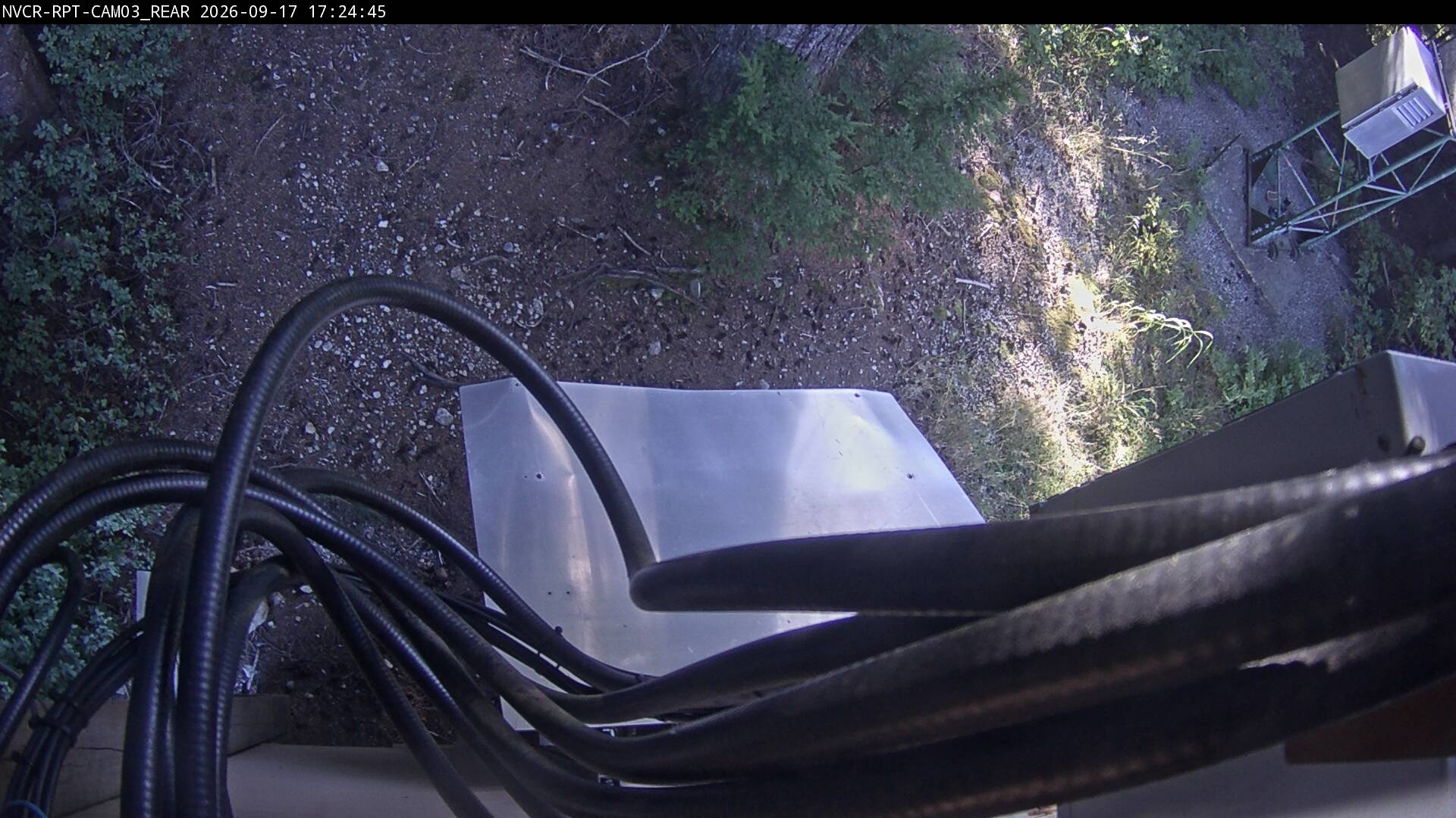 Web Cam History Image - 463