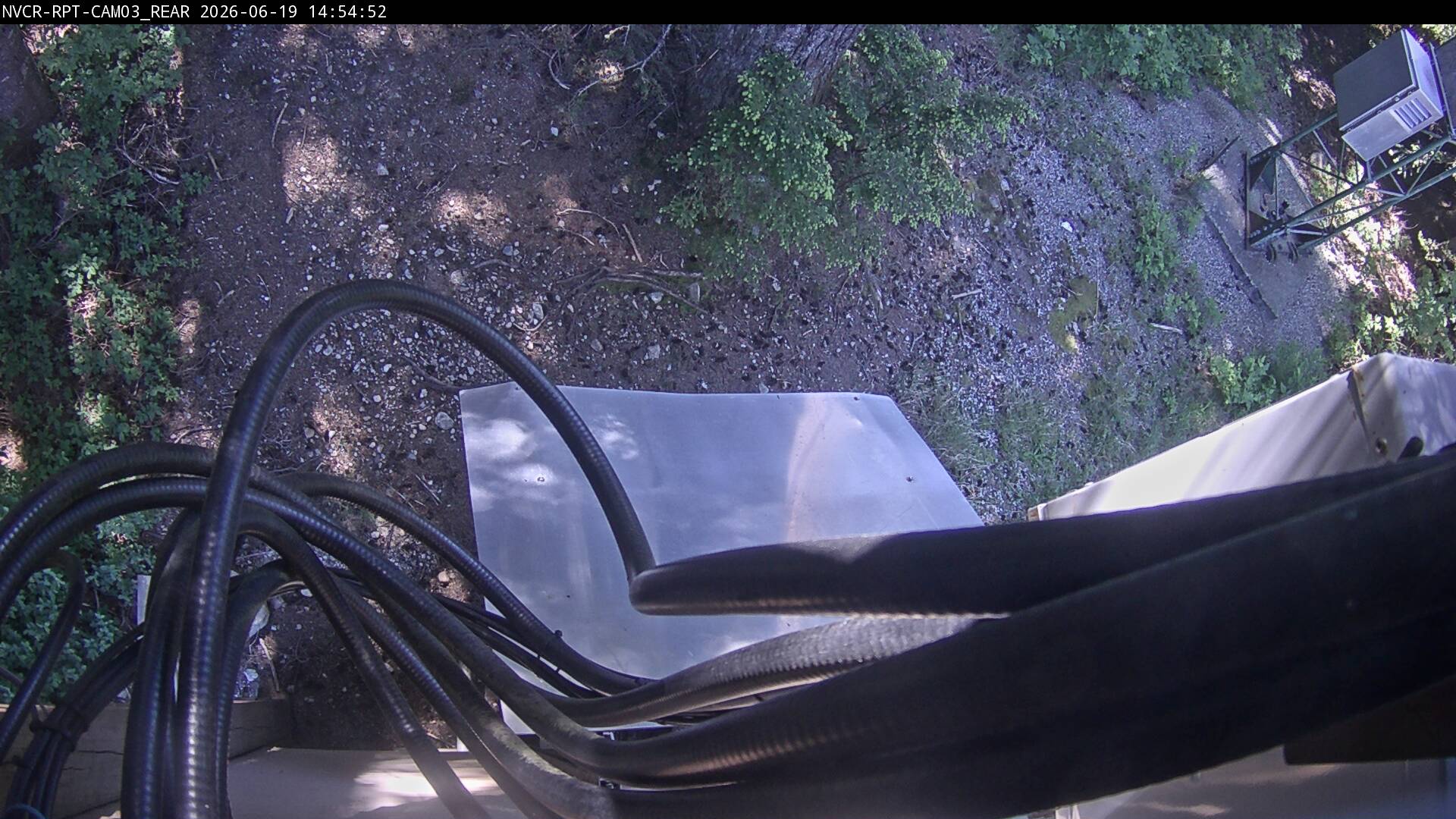 Web Cam History Image - 467