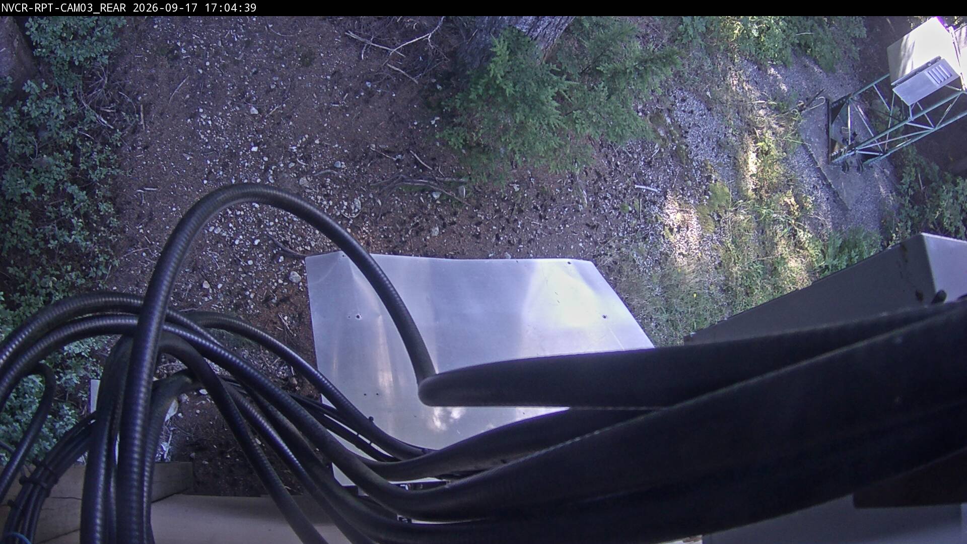 Web Cam History Image - 467