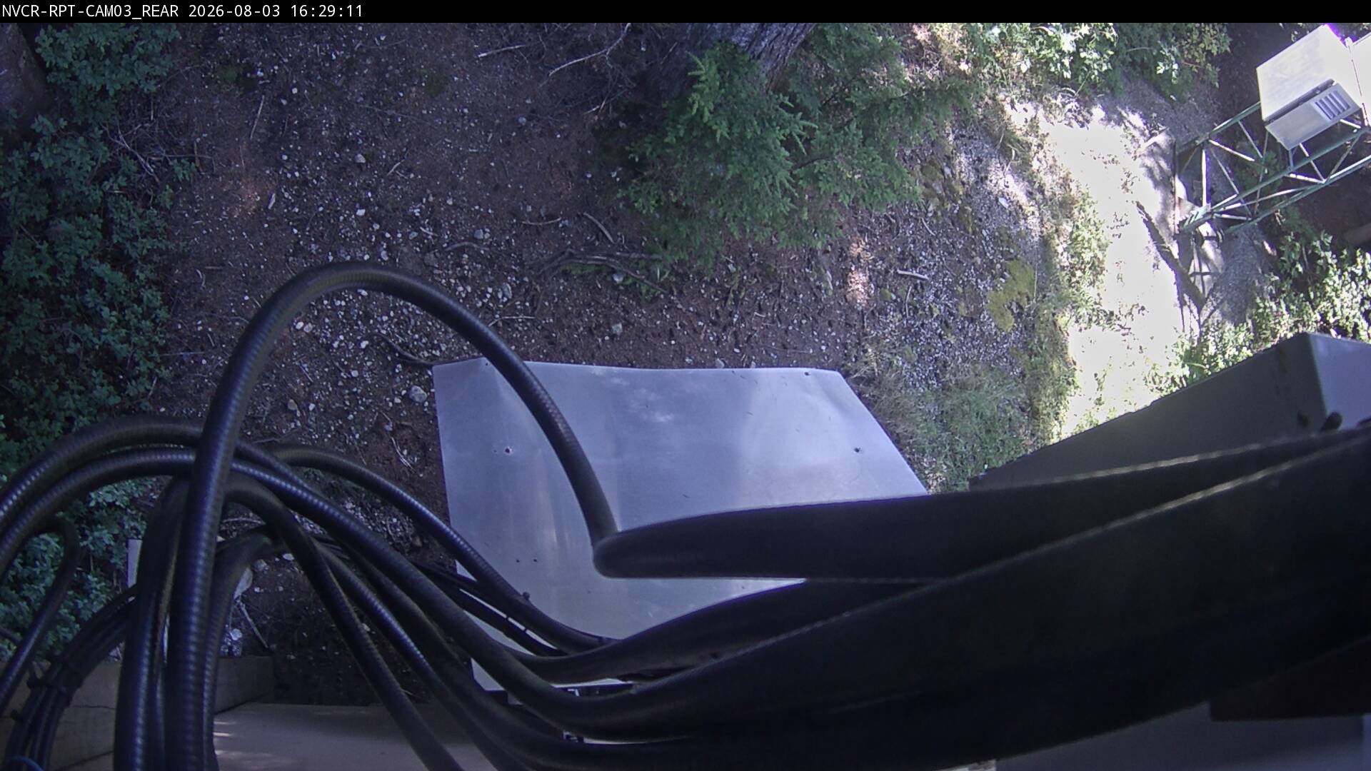 Web Cam History Image - 468