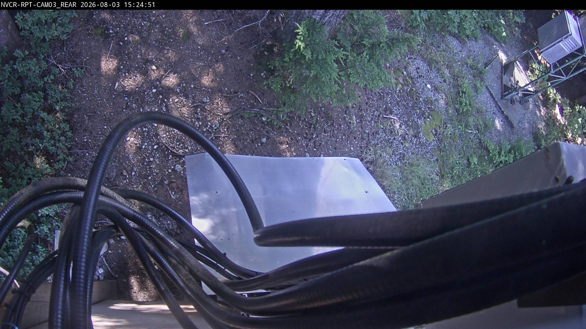 Web Cam History Image - 469