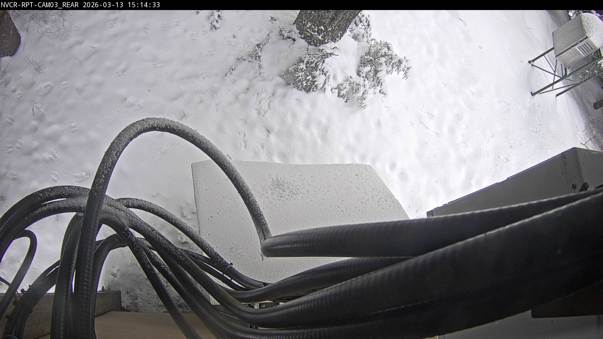 Web Cam History Image - 48