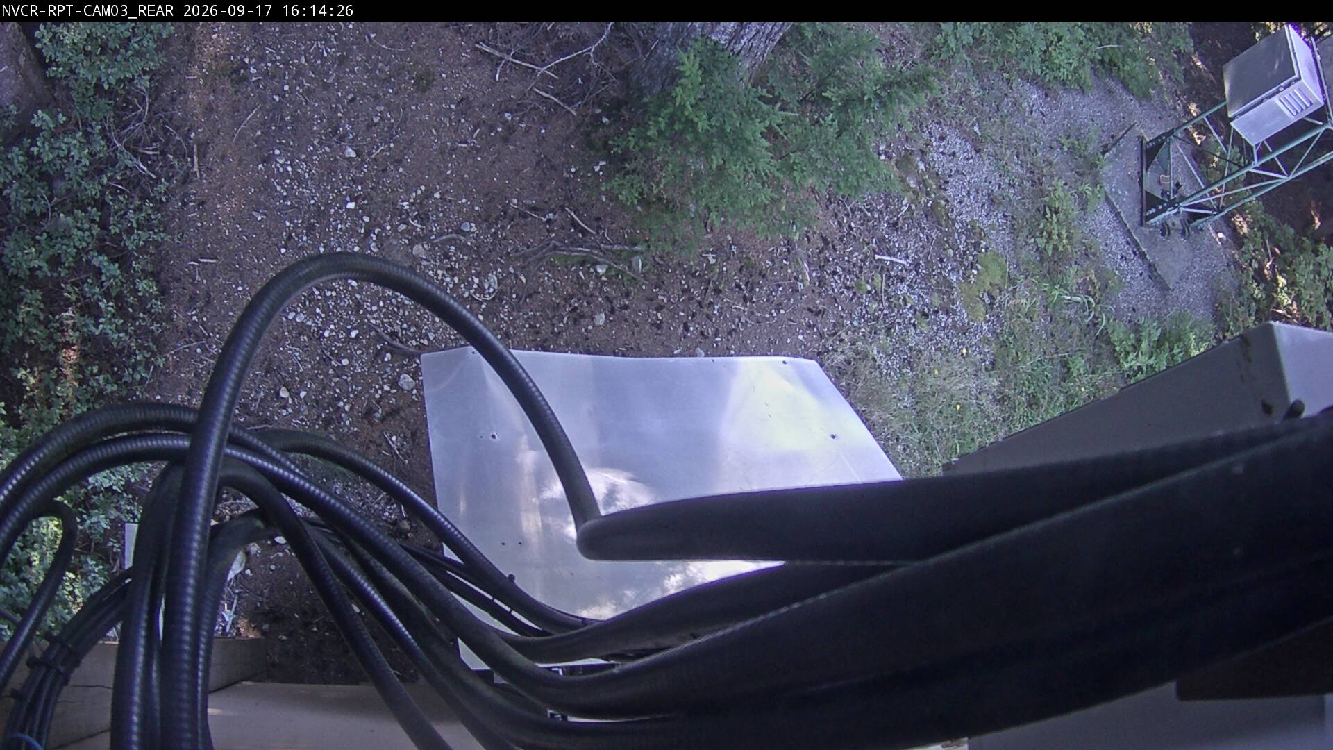 Web Cam History Image - 477