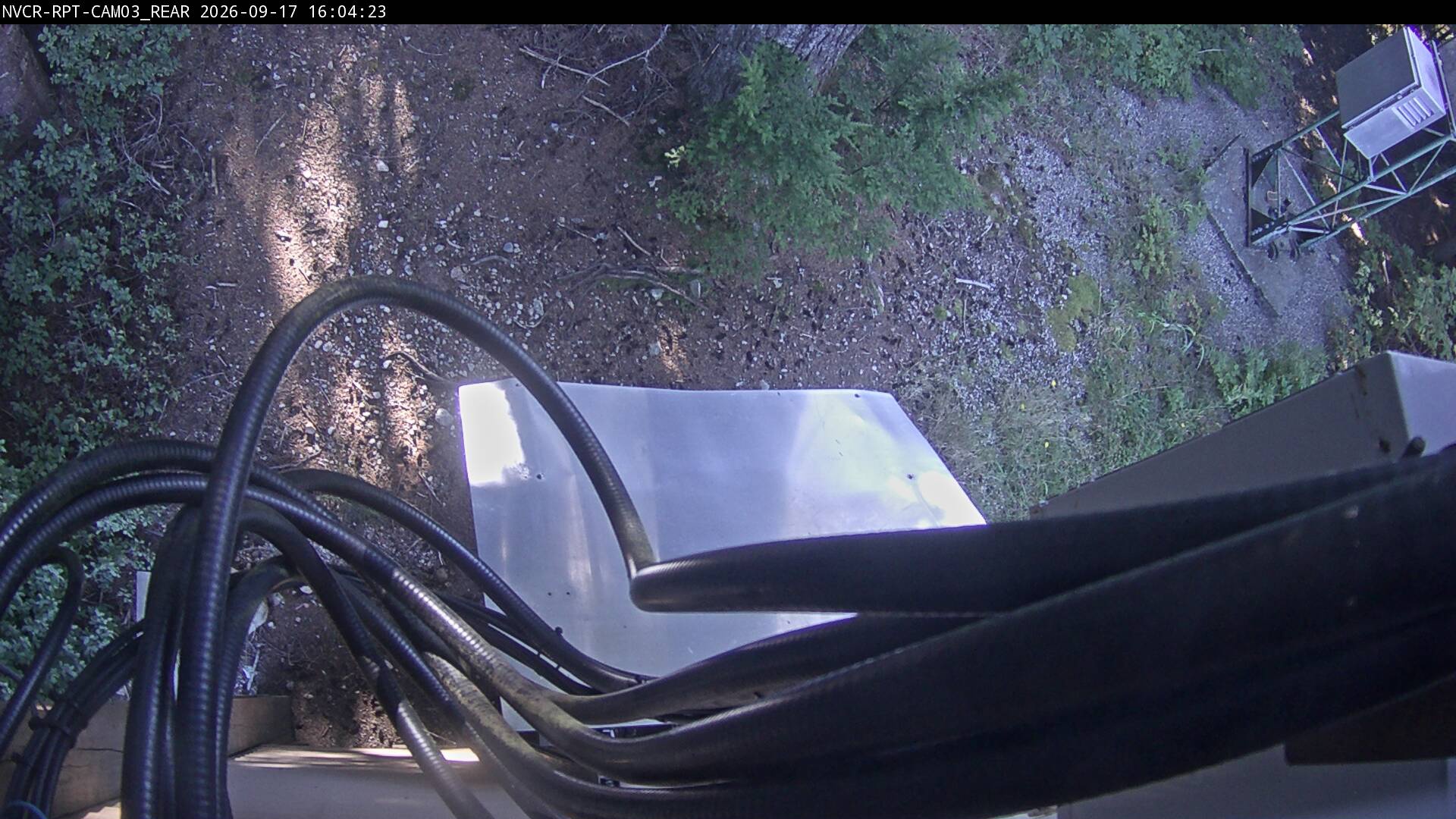 Web Cam History Image - 479