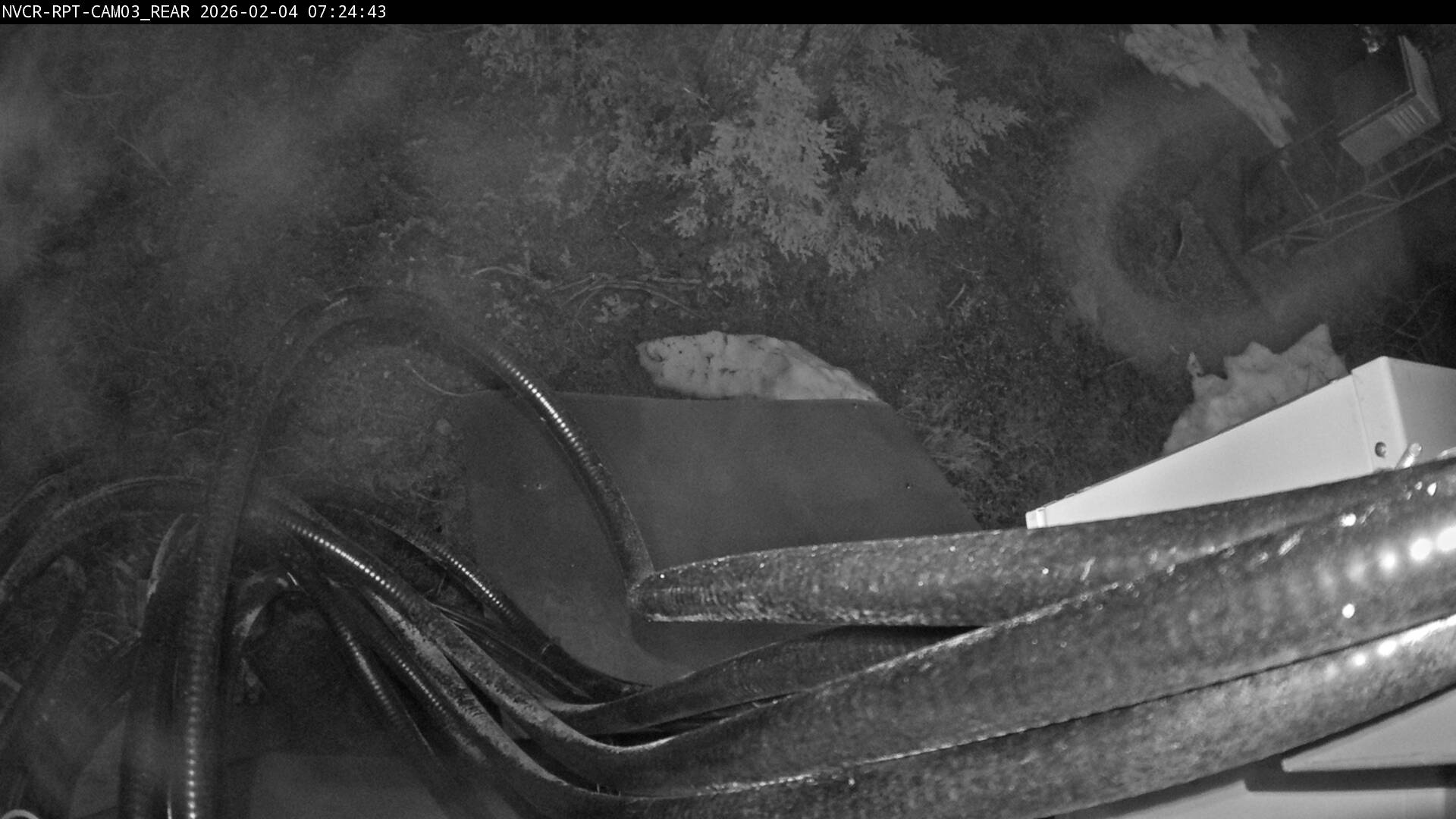 Web Cam History Image - 49