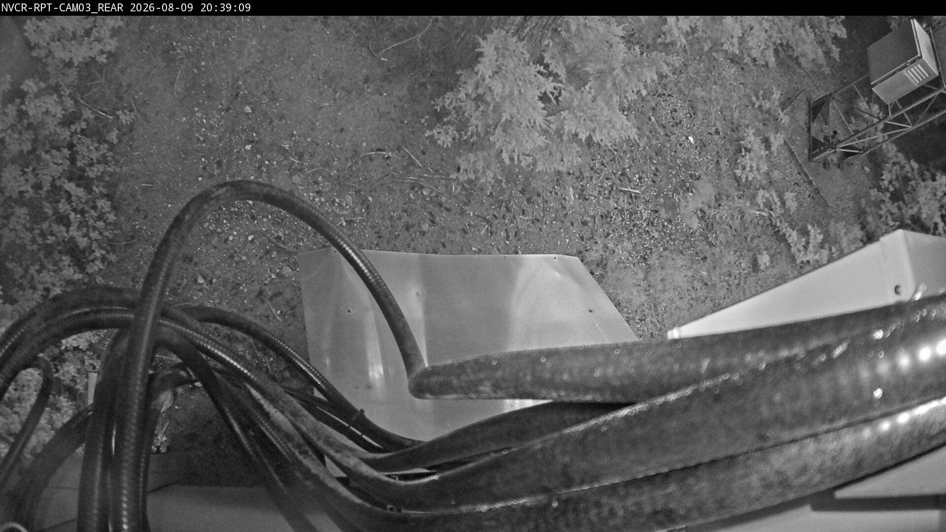 Web Cam History Image - 481