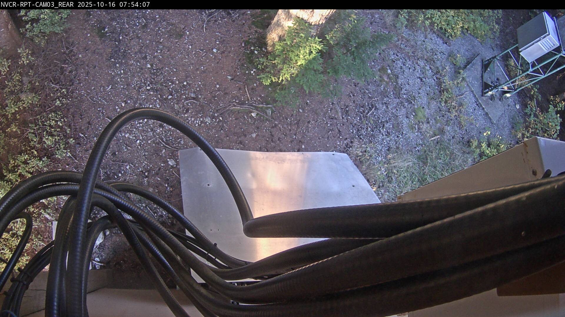 Web Cam History Image - 482