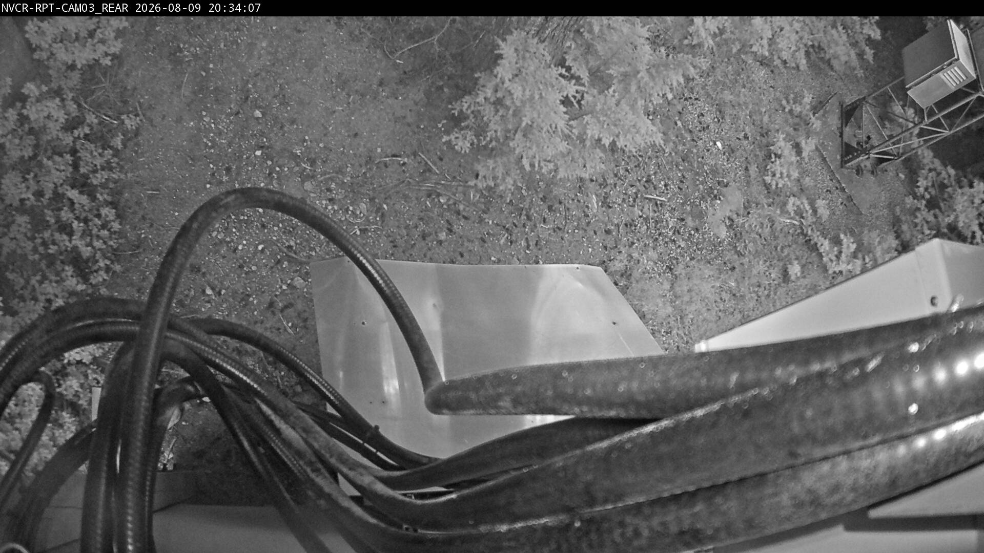 Web Cam History Image - 482