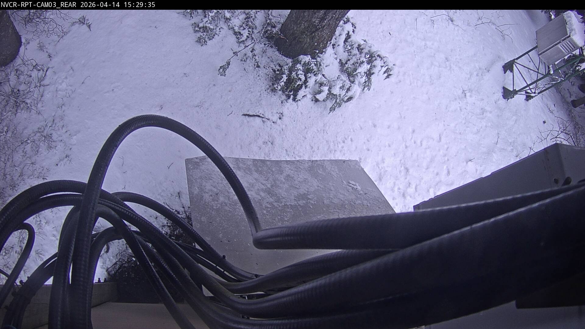 Web Cam History Image - 484