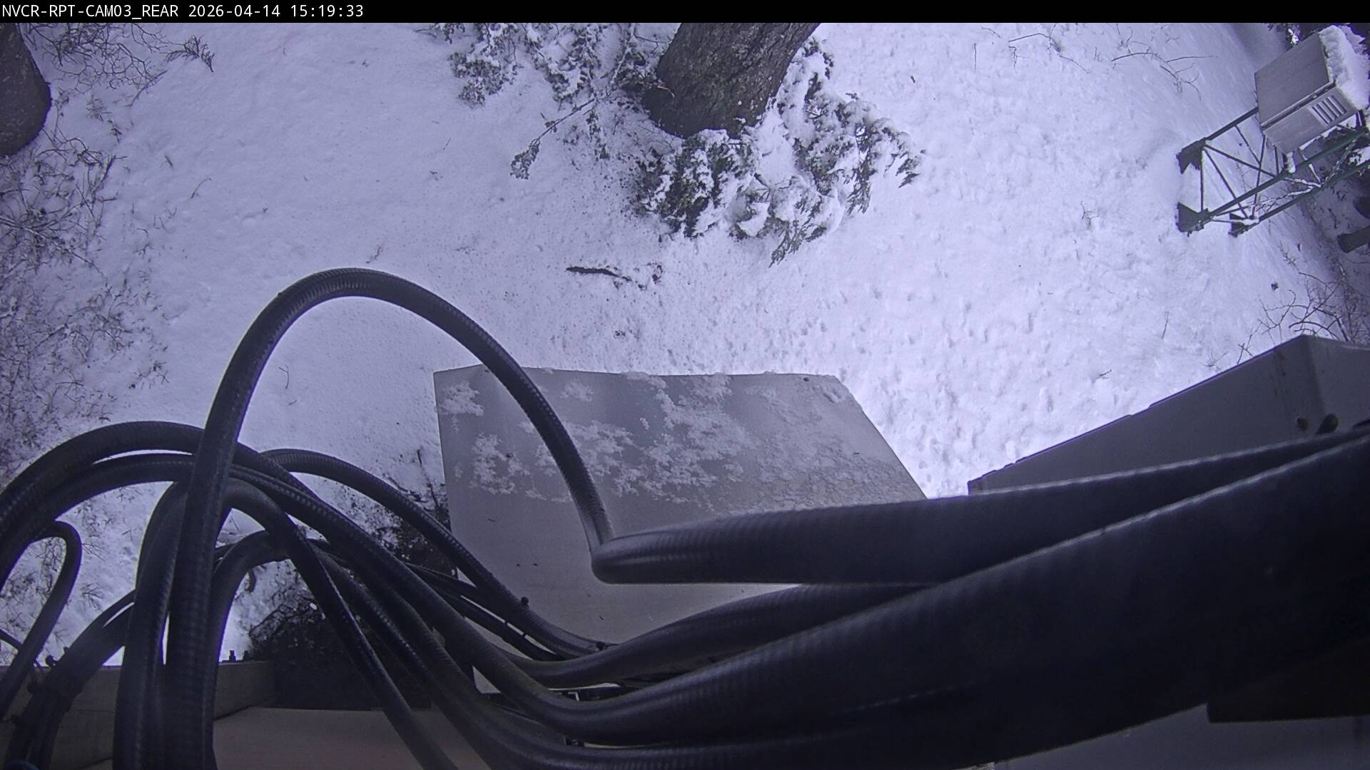 Web Cam History Image - 485