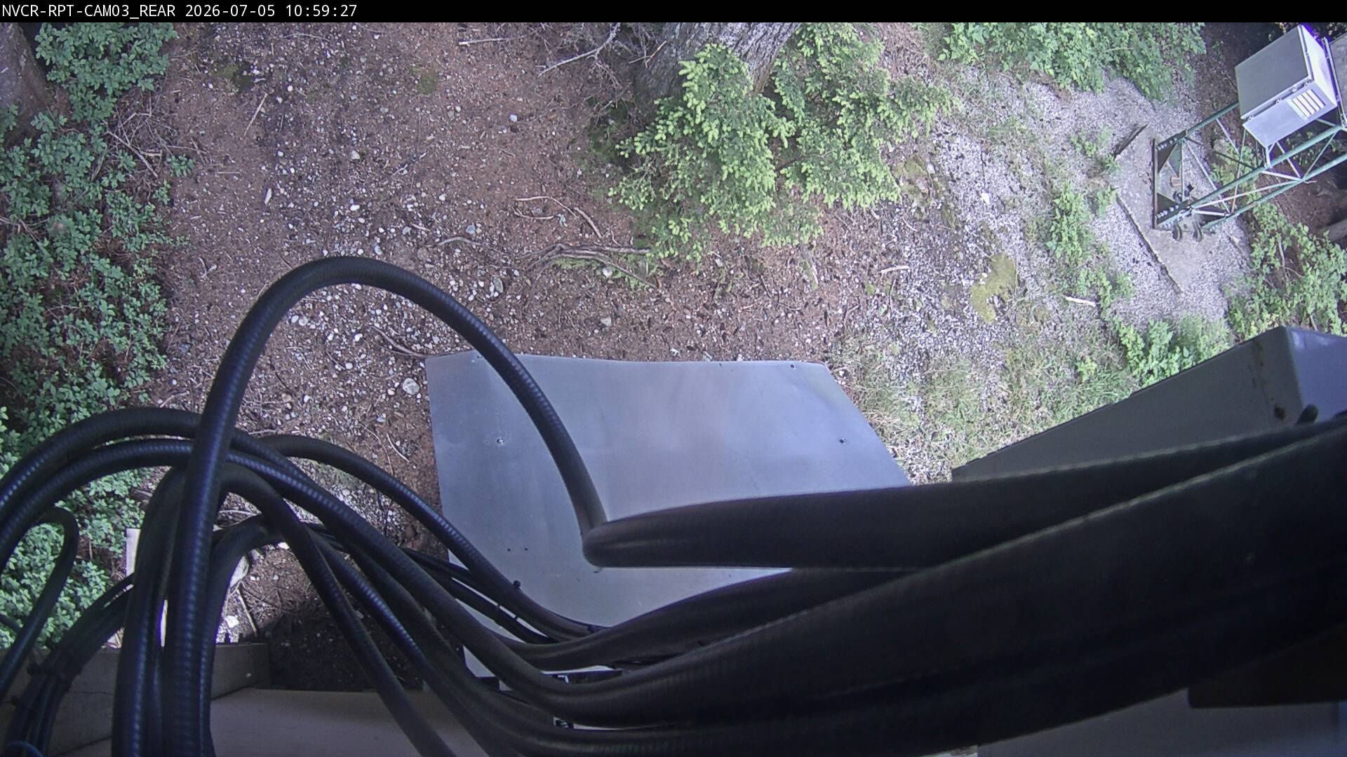 Web Cam History Image - 486