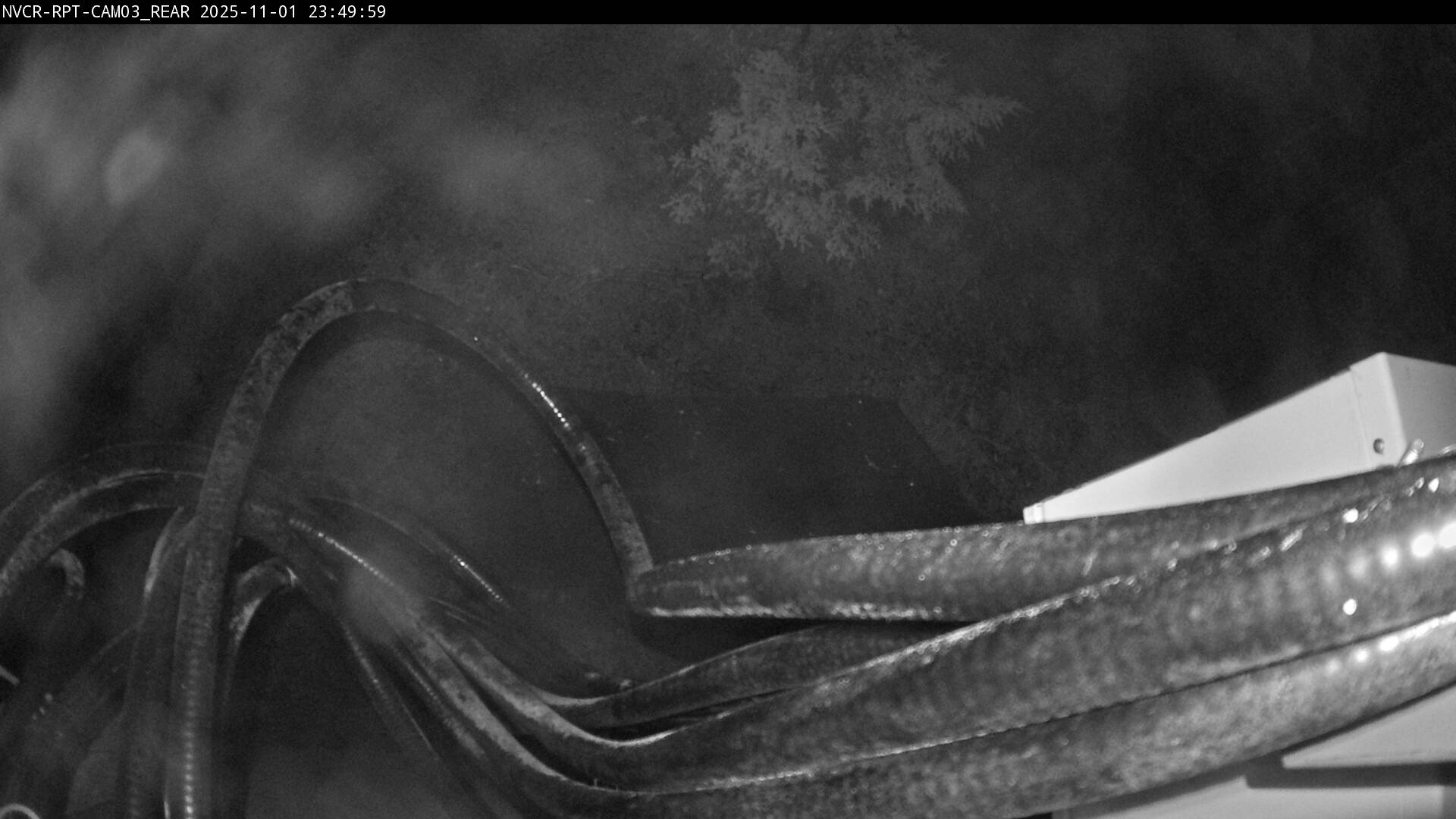 Web Cam History Image - 487