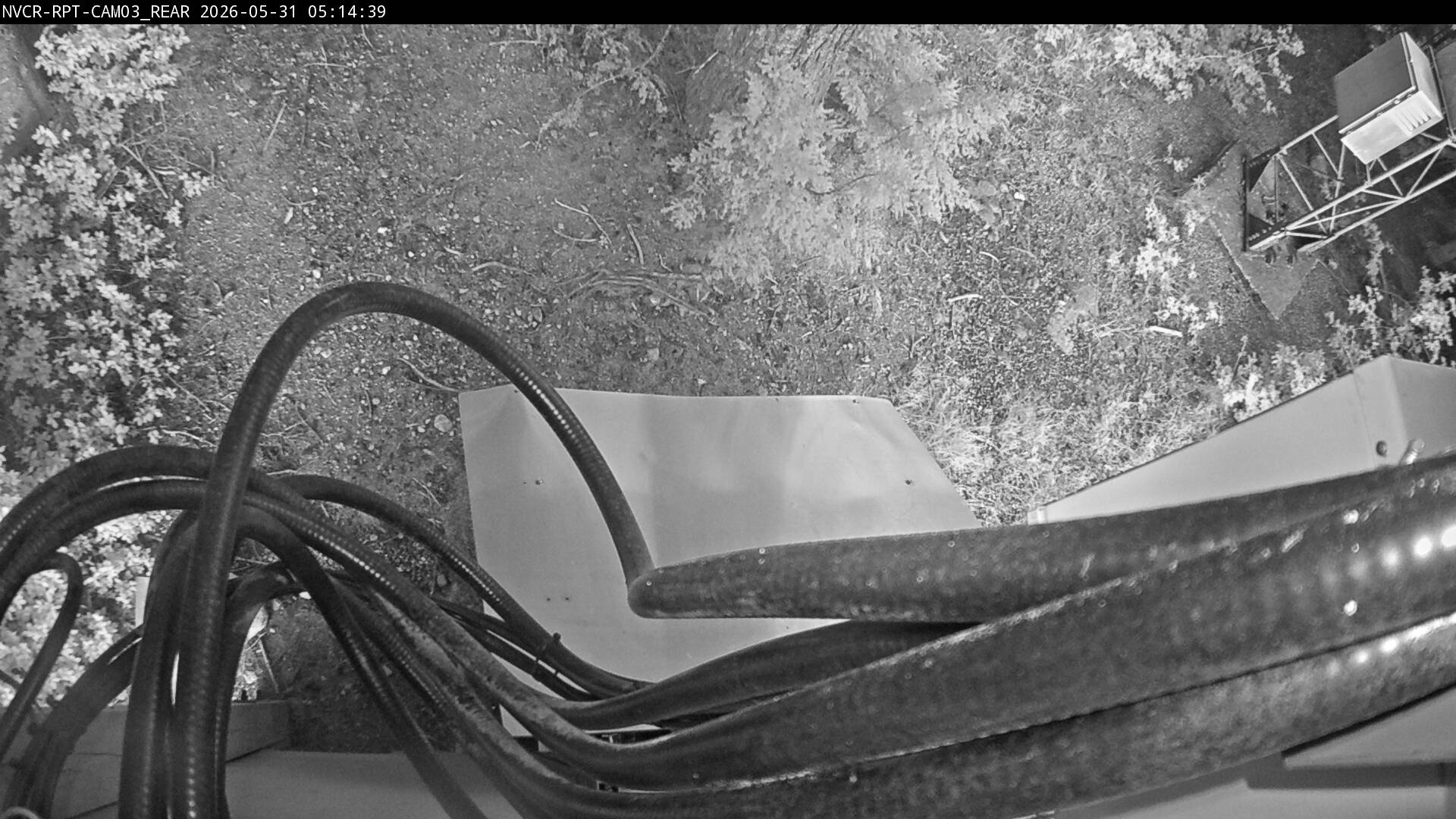 Web Cam History Image - 490