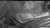 Web Cam Image - Sun, 08/02/2026 4:49am PDT