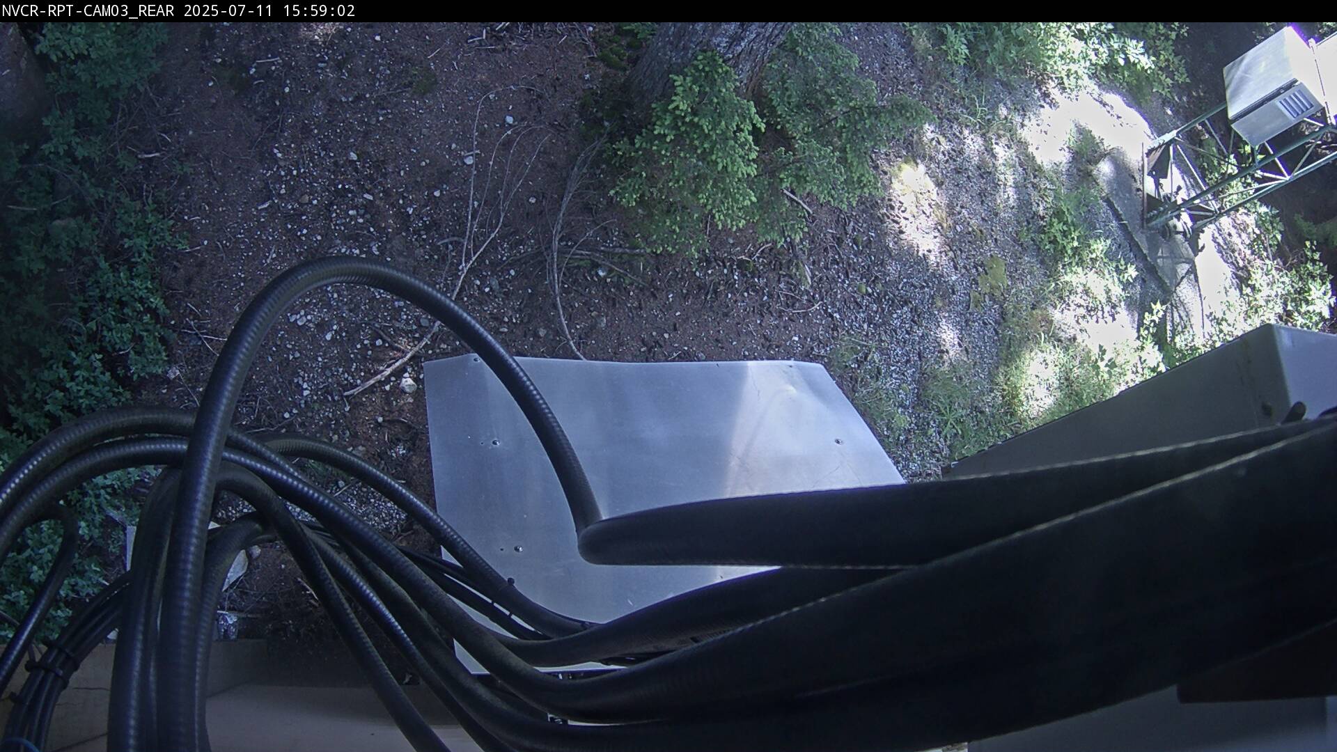 Web Cam History Image - 50
