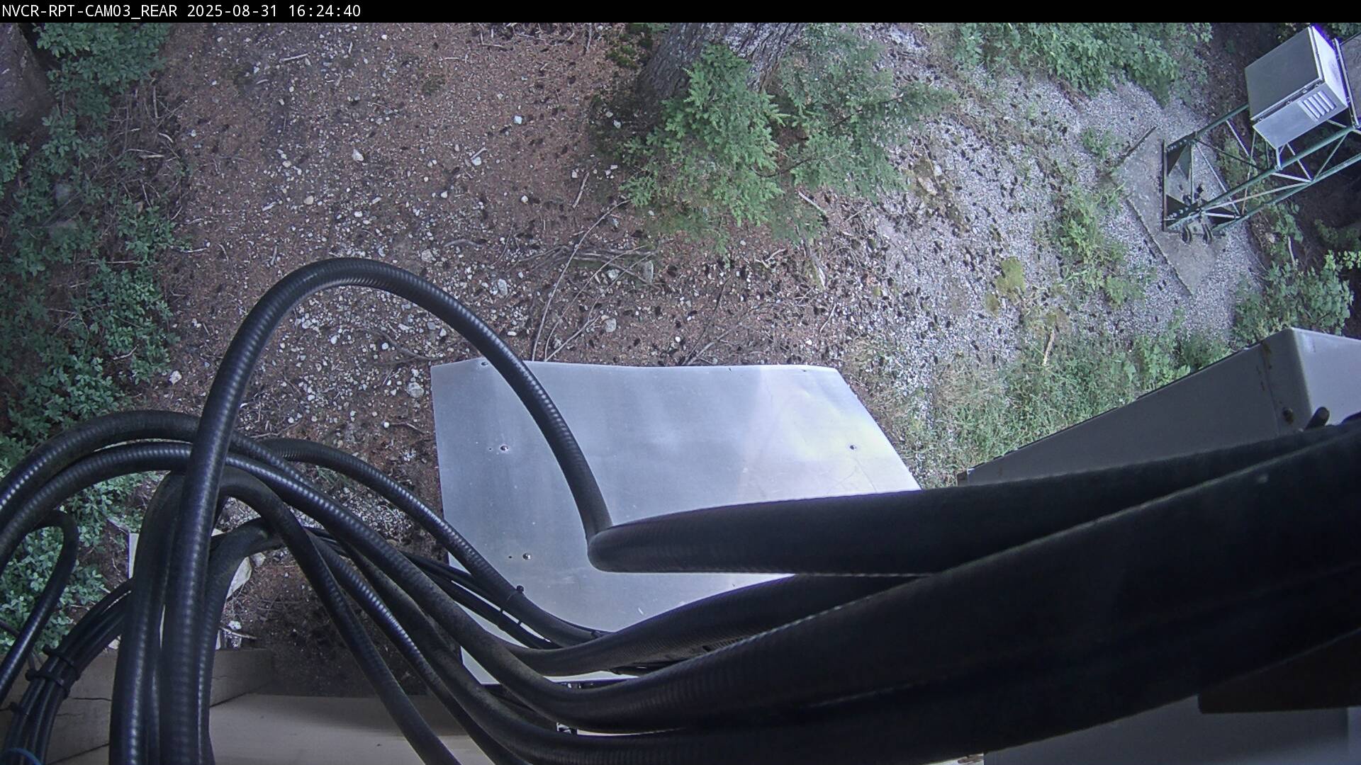 Web Cam History Image - 50