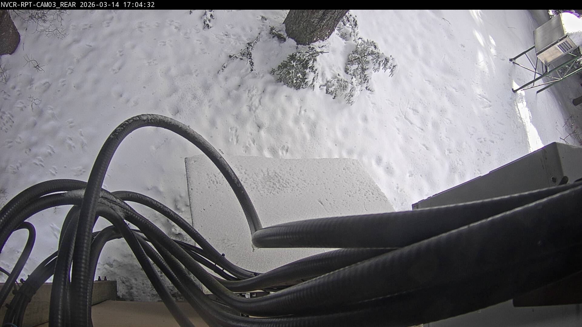 Web Cam History Image - 50