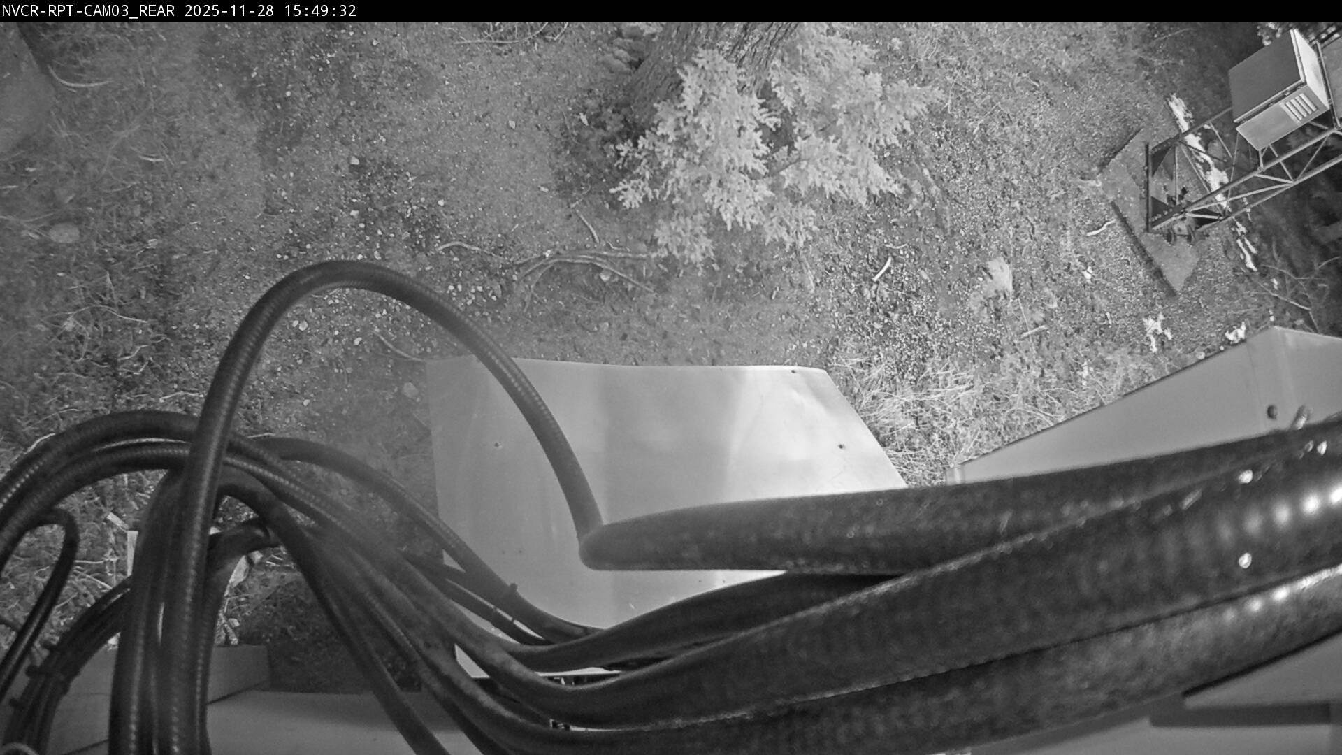 Web Cam History Image - 491