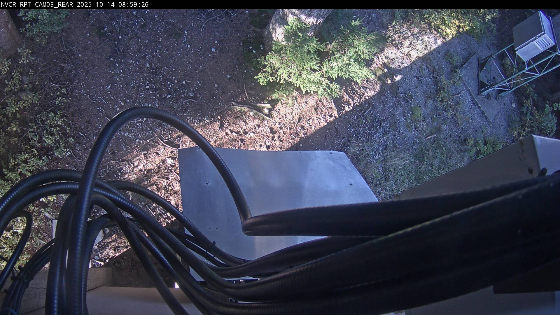Web Cam History Image - 492