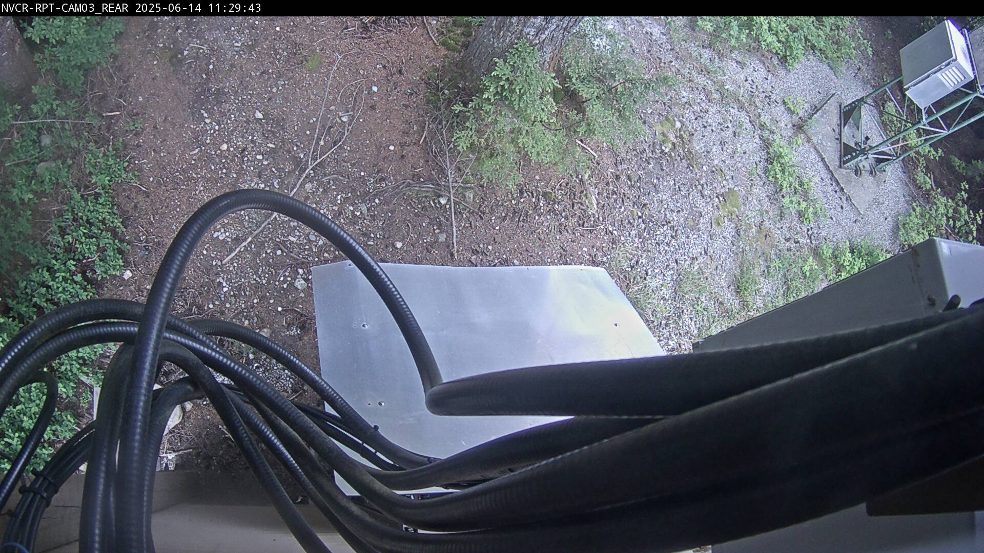 Web Cam History Image - 493