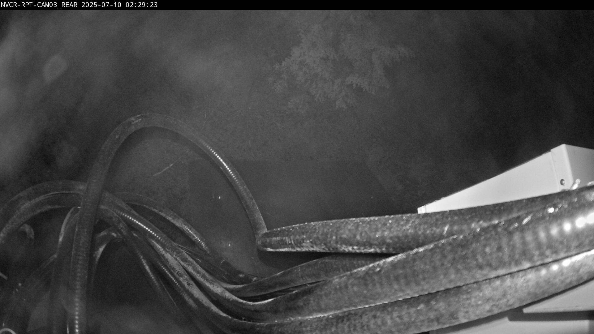 Web Cam History Image - 493