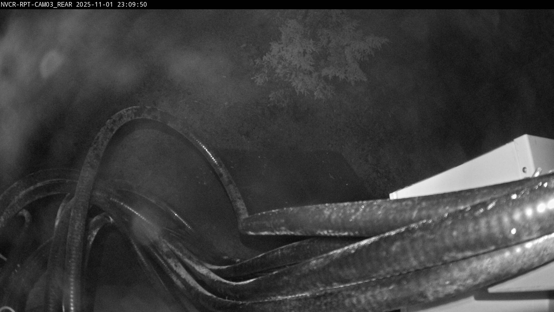 Web Cam History Image - 495