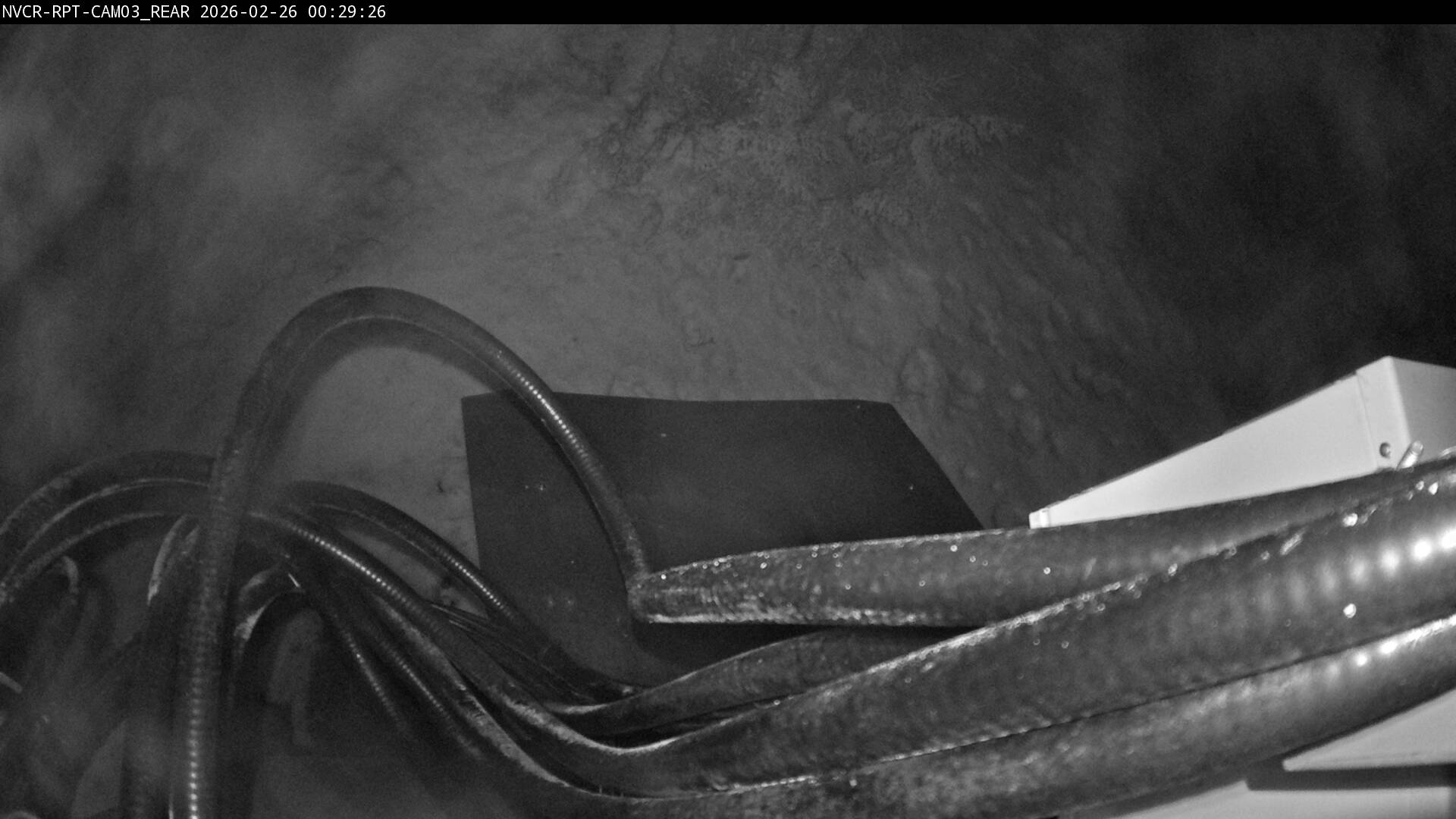 Web Cam History Image - 496