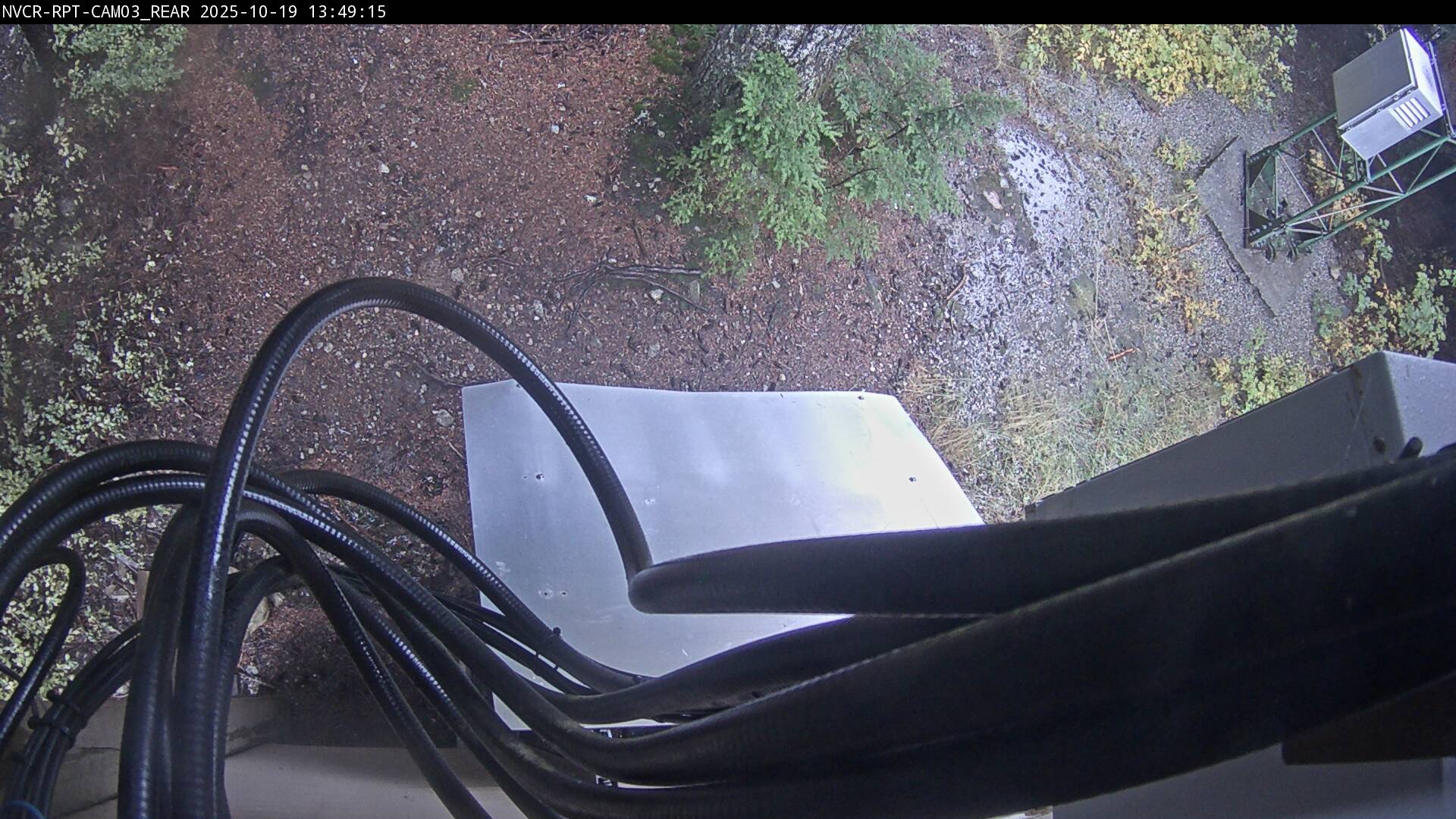 Web Cam History Image - 498