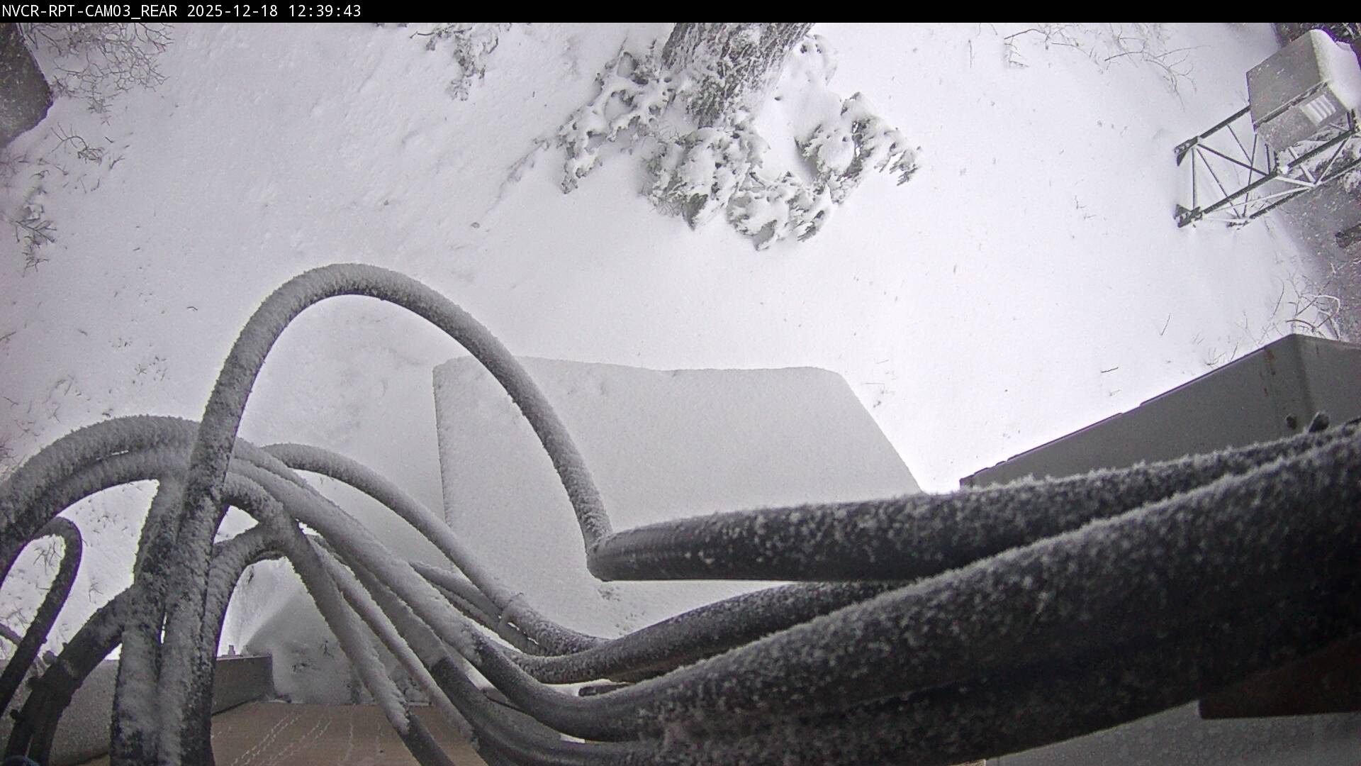 Web Cam History Image - 498