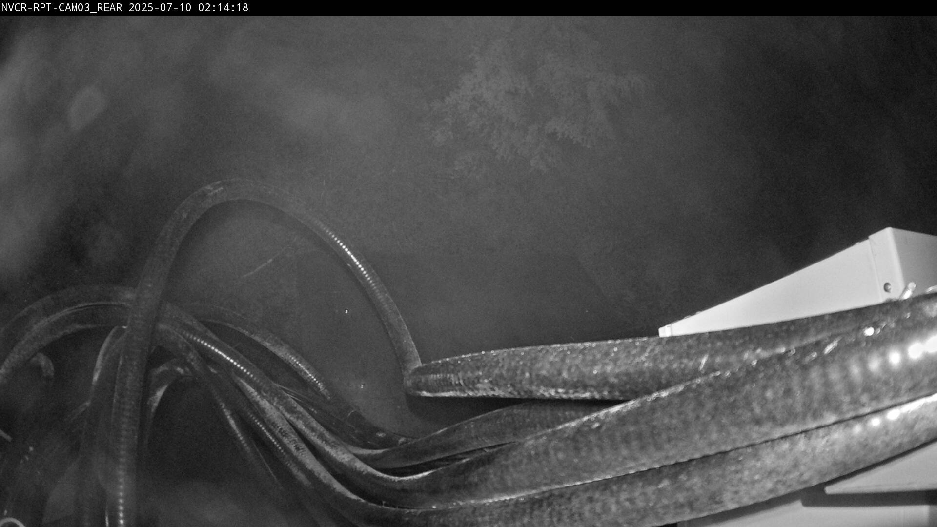 Web Cam History Image - 499
