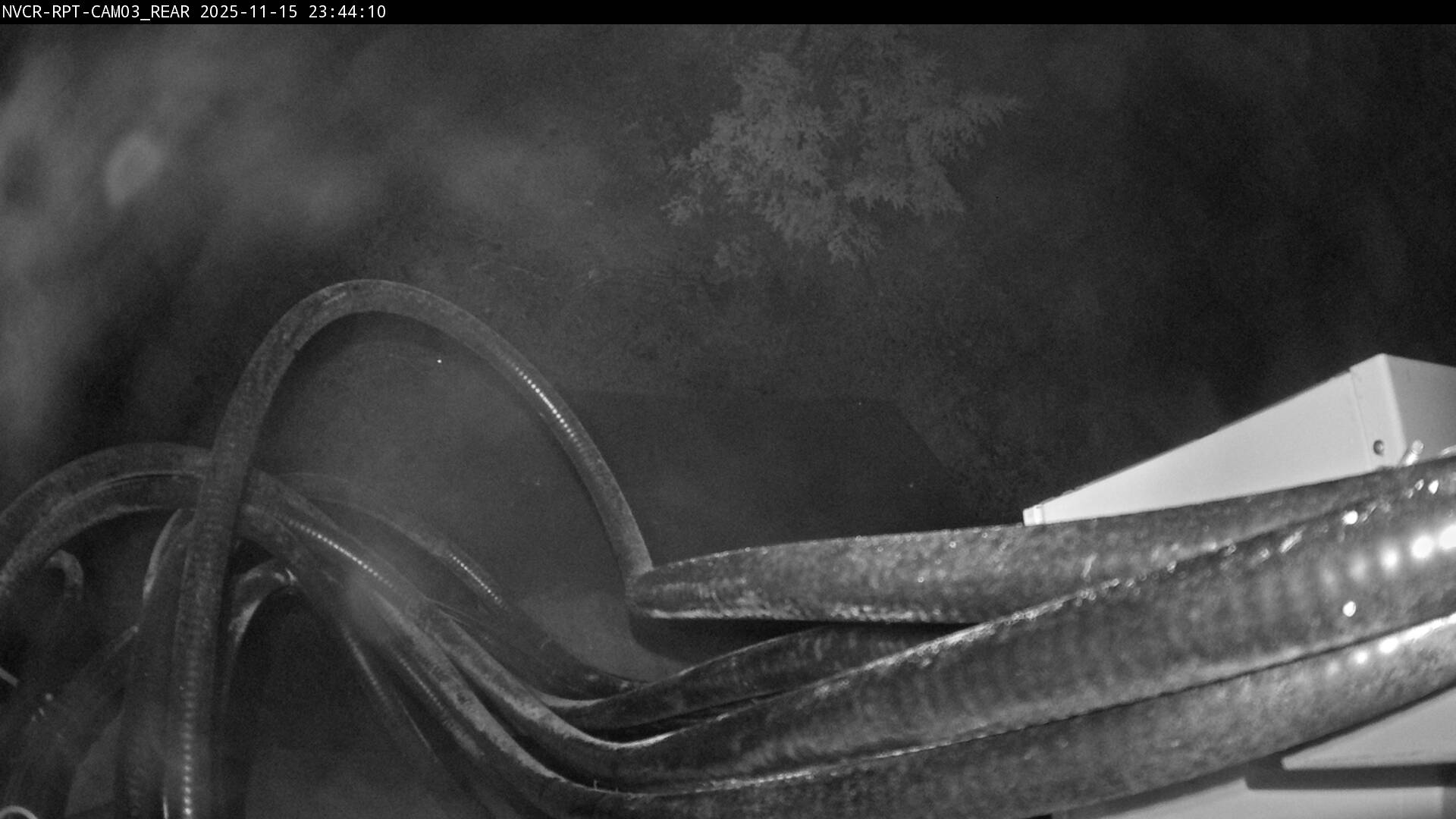 Web Cam History Image - 499