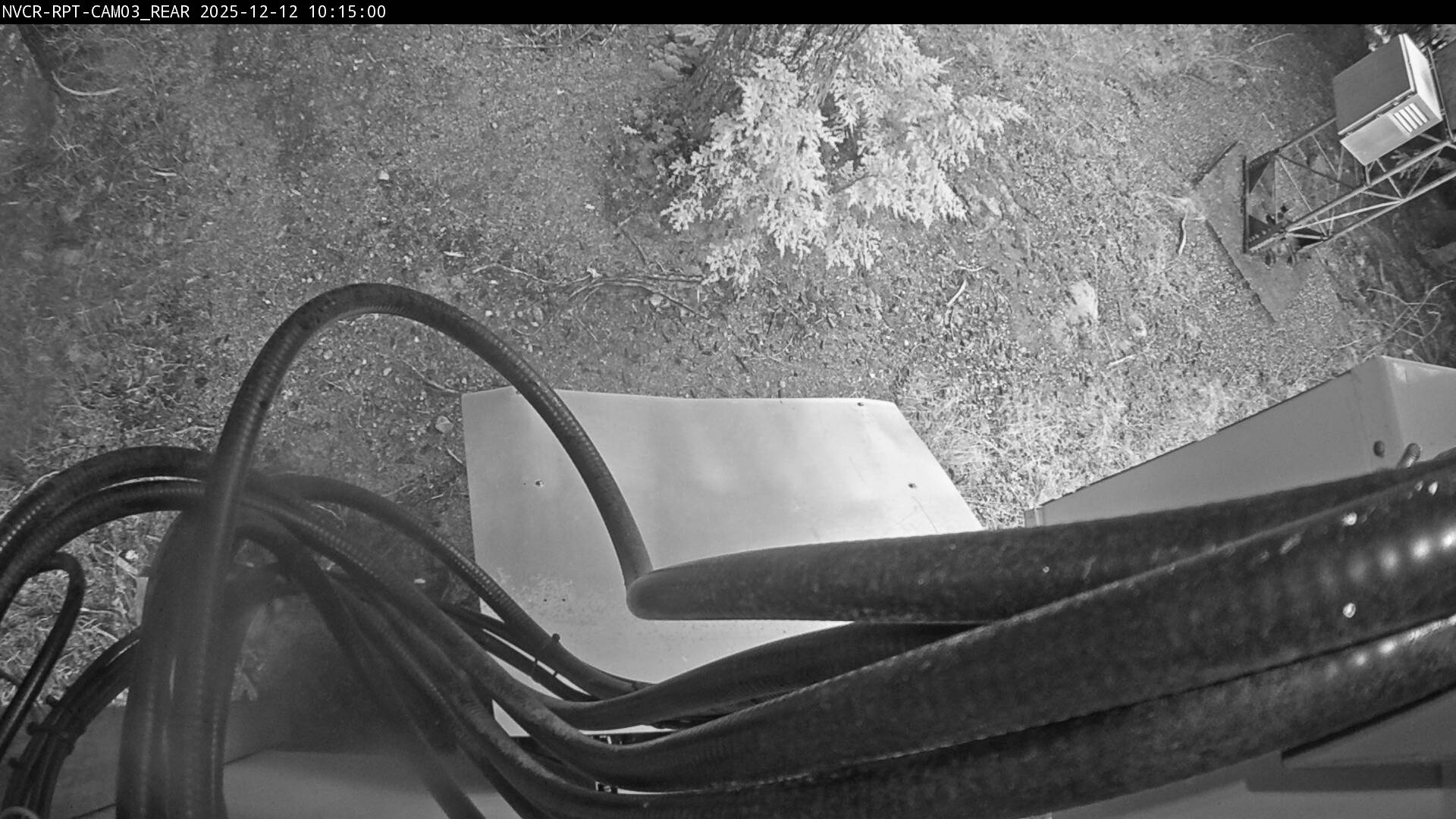 Web Cam History Image - 499