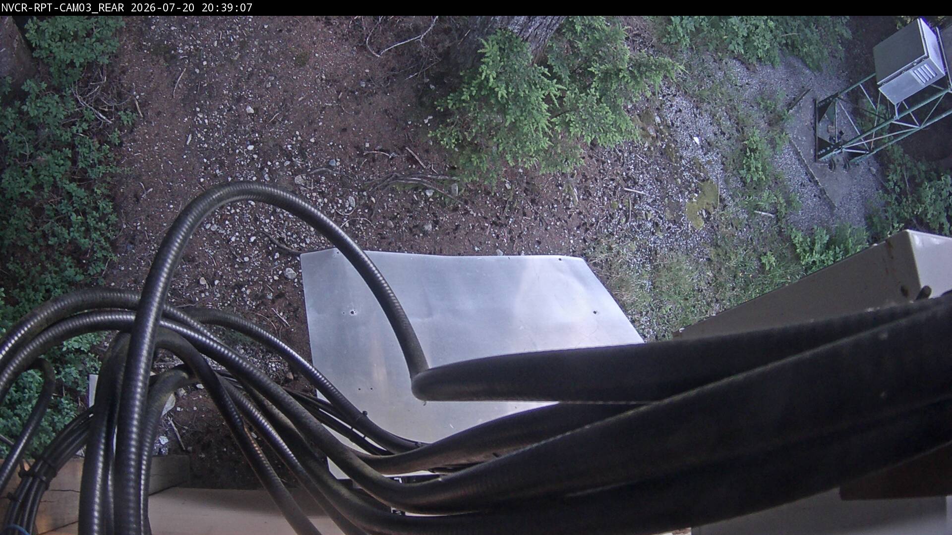 Web Cam History Image - 499