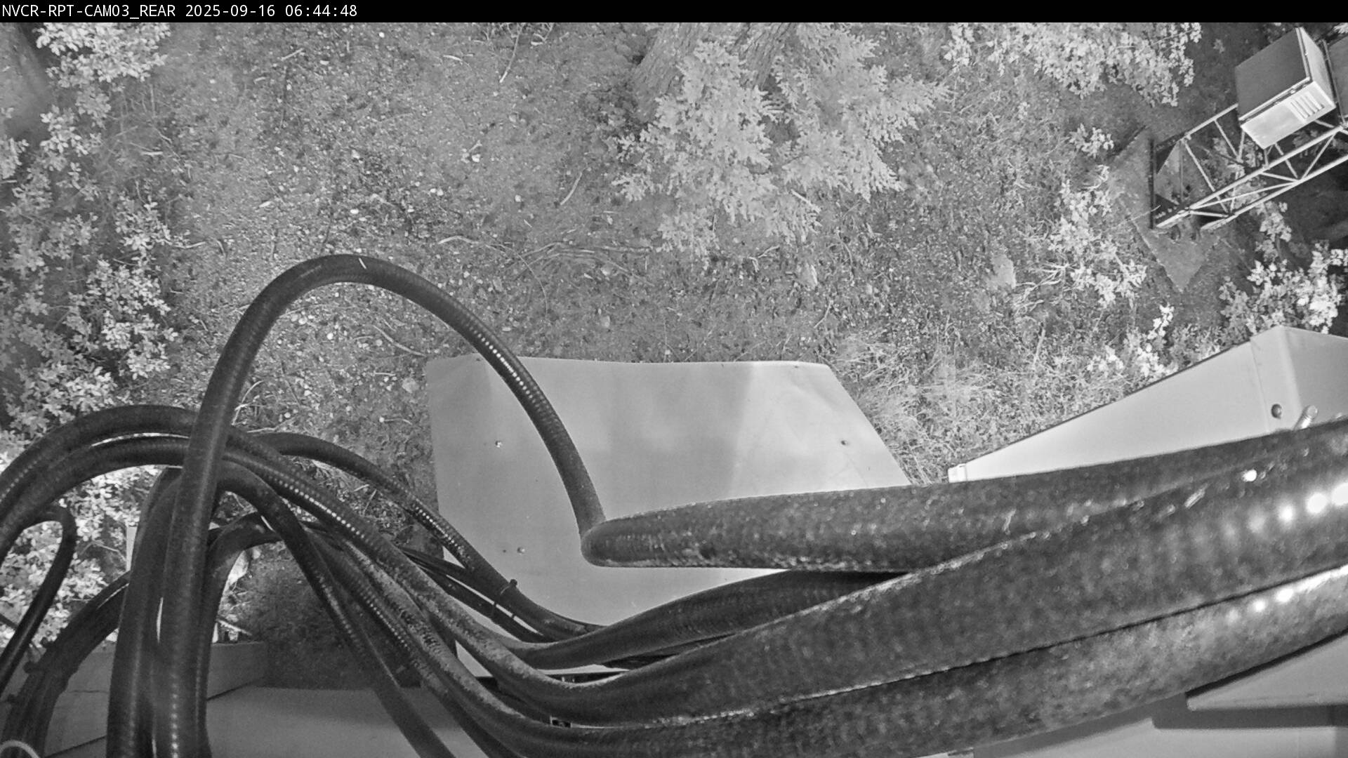 Web Cam History Image - 500