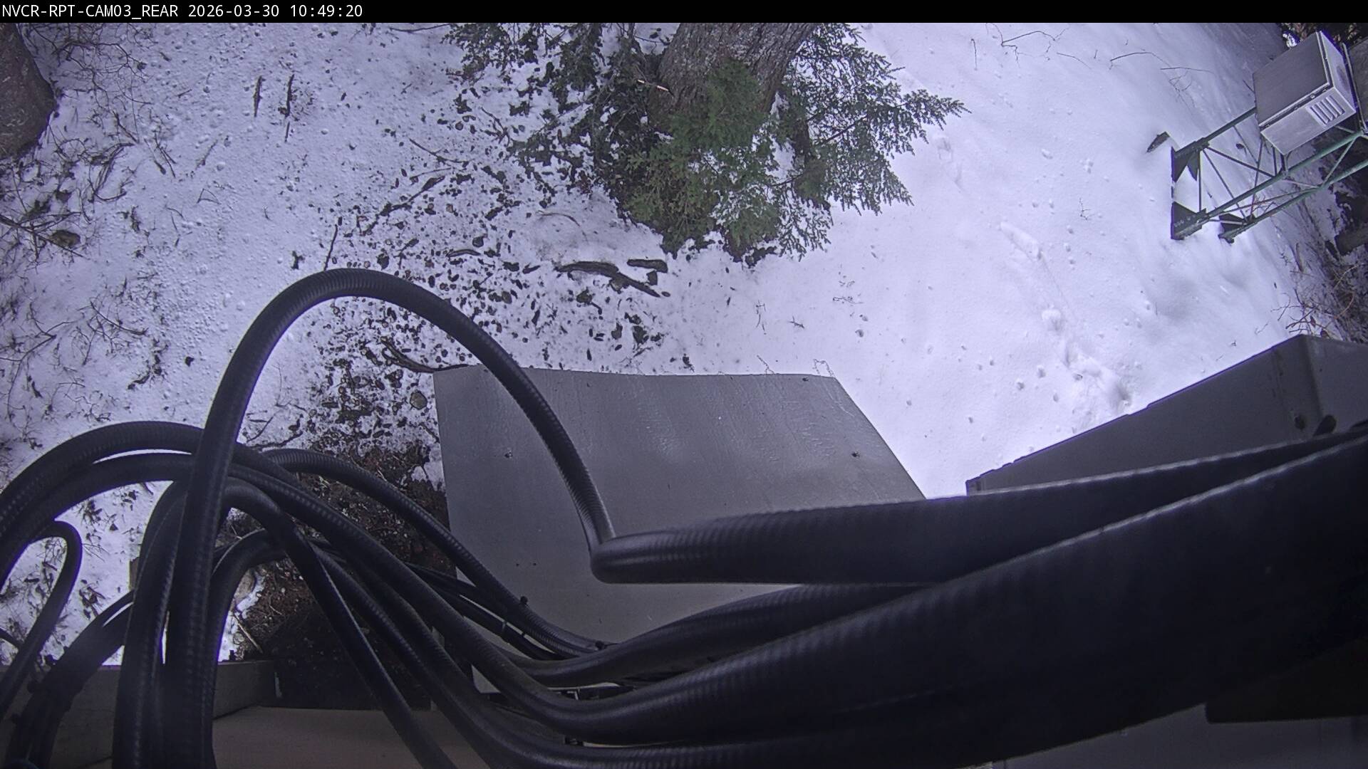 Web Cam History Image - 500