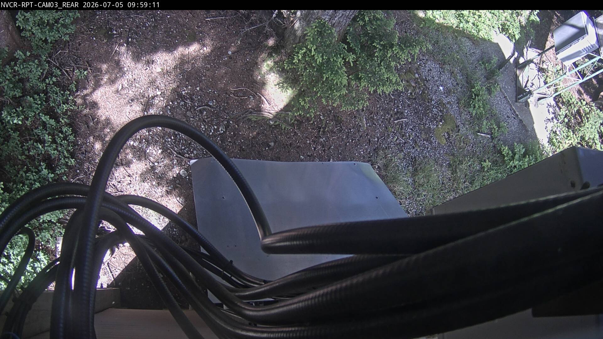 Web Cam History Image - 500