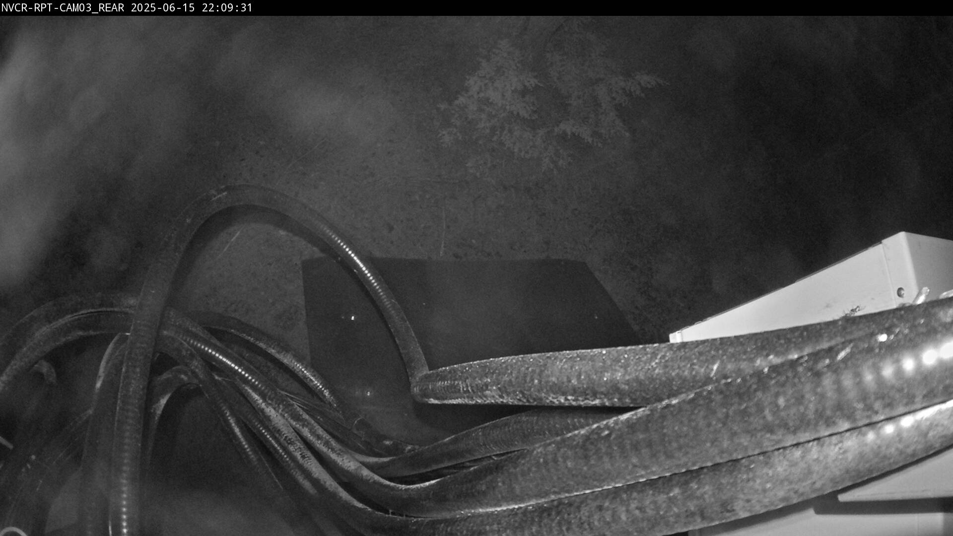 Web Cam History Image - 6