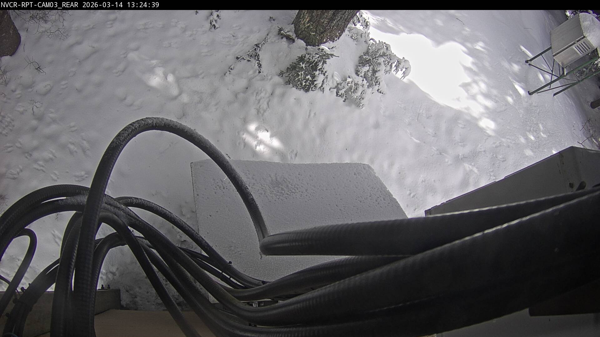 Web Cam History Image - 6