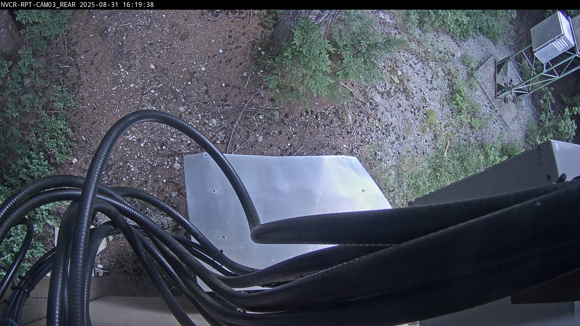 Web Cam History Image - 51