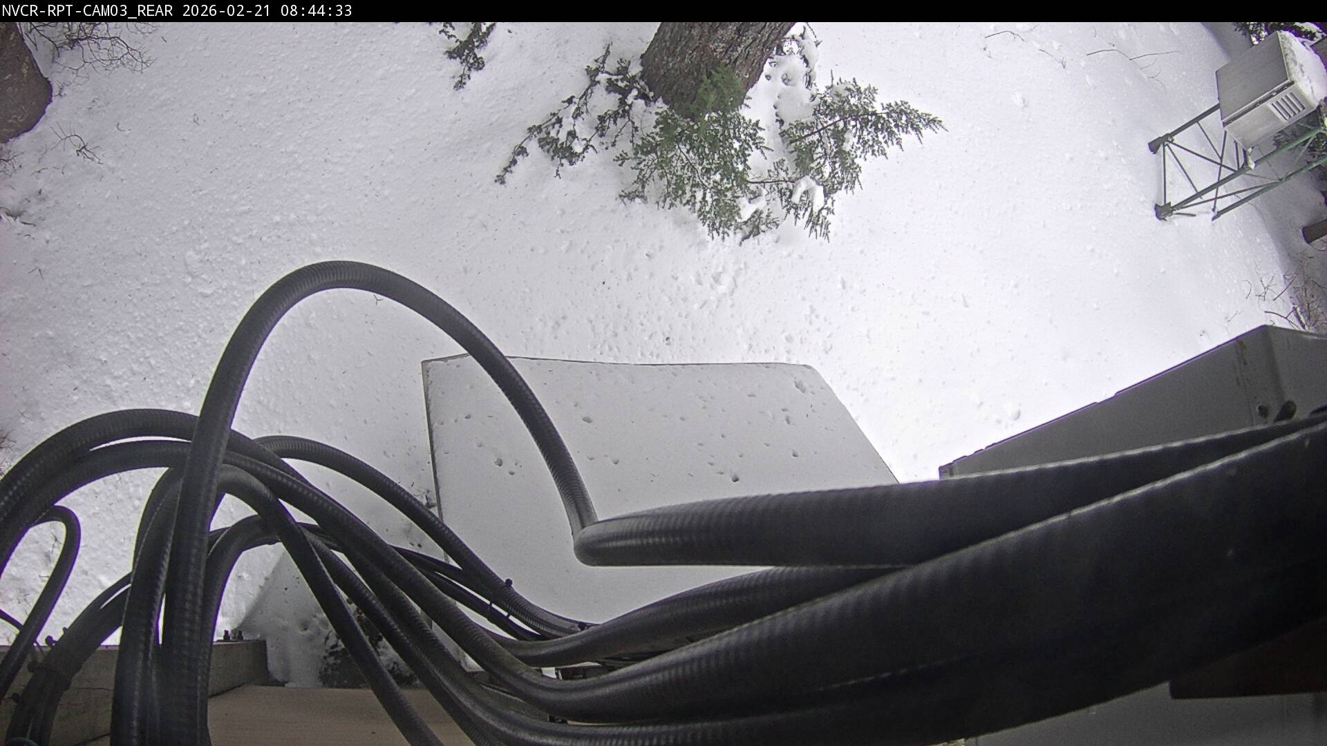 Web Cam History Image - 51