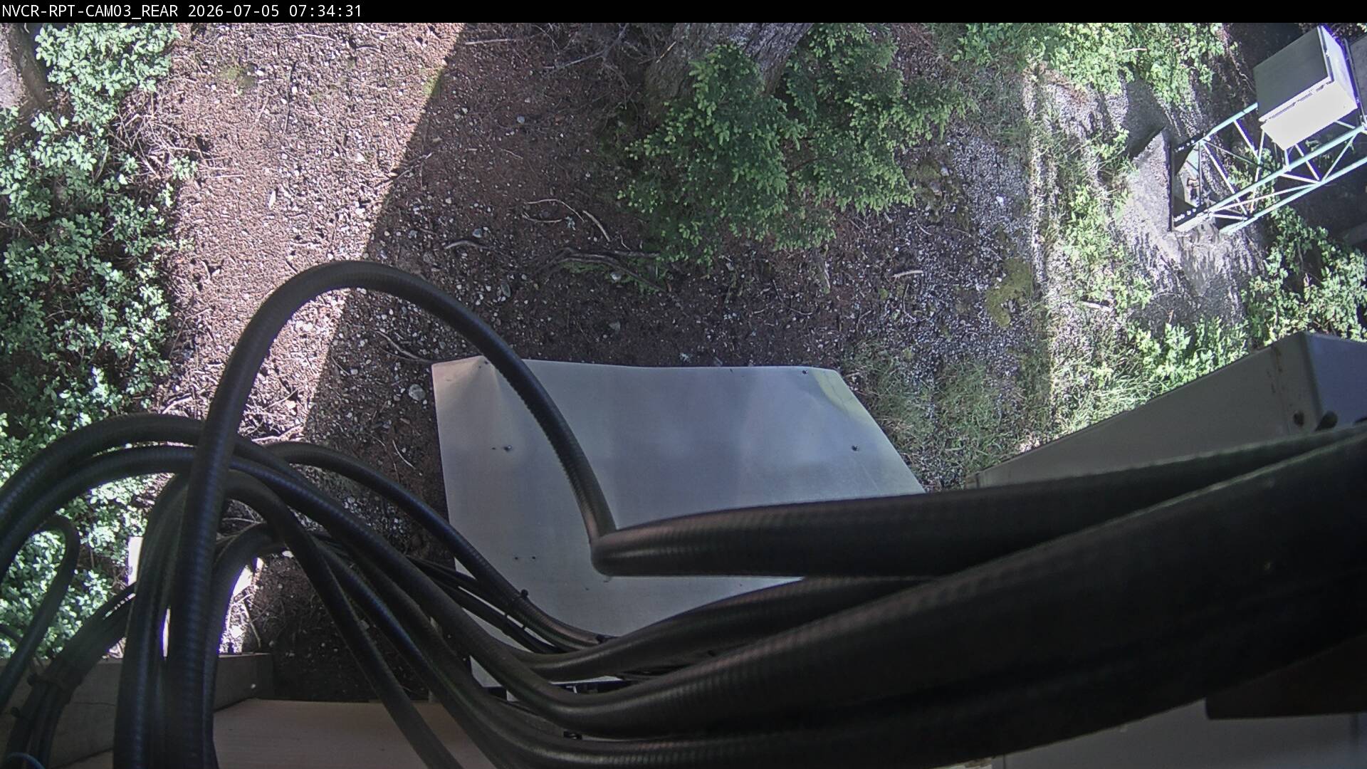 Web Cam History Image - 51