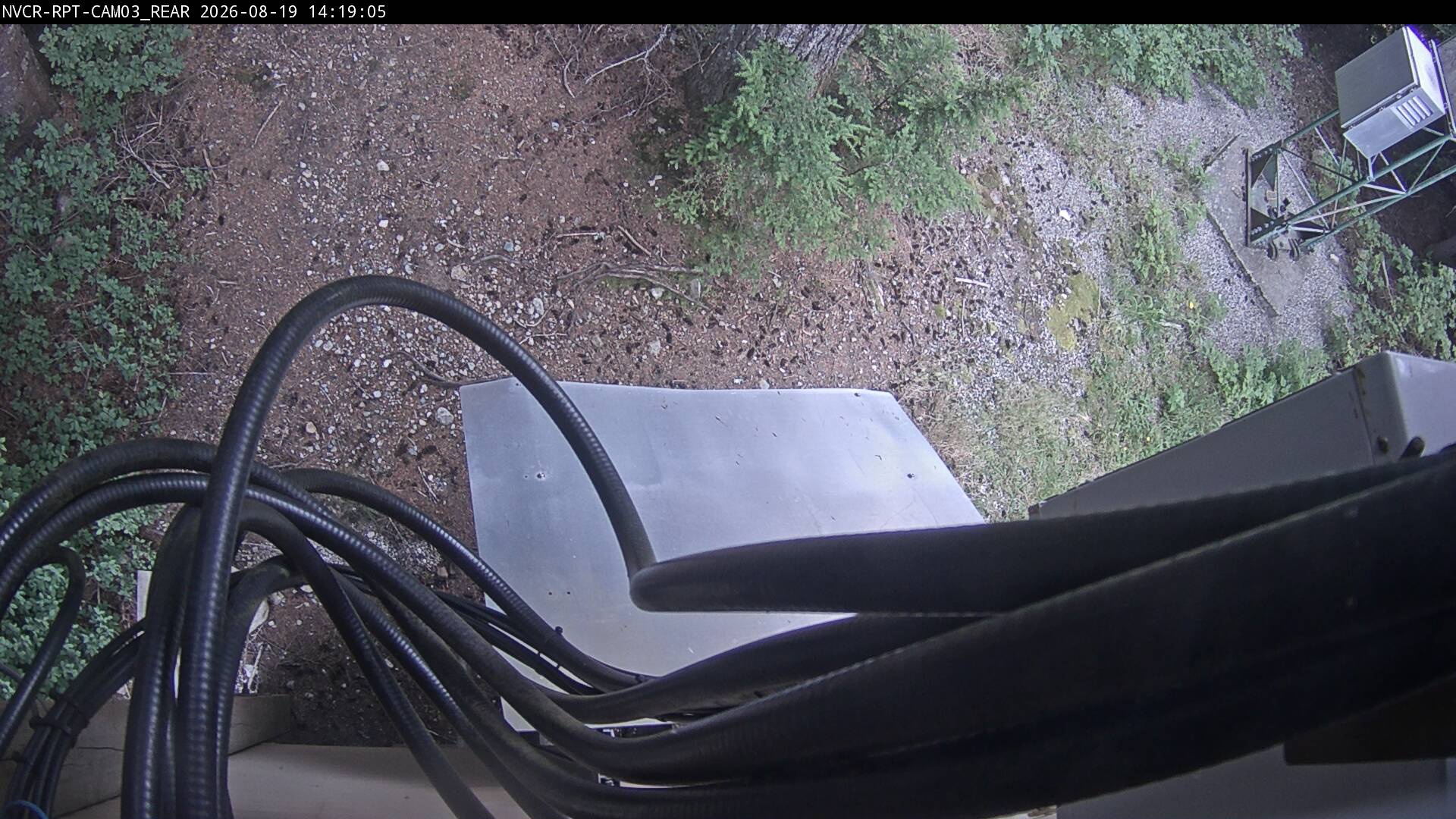Web Cam History Image - 51