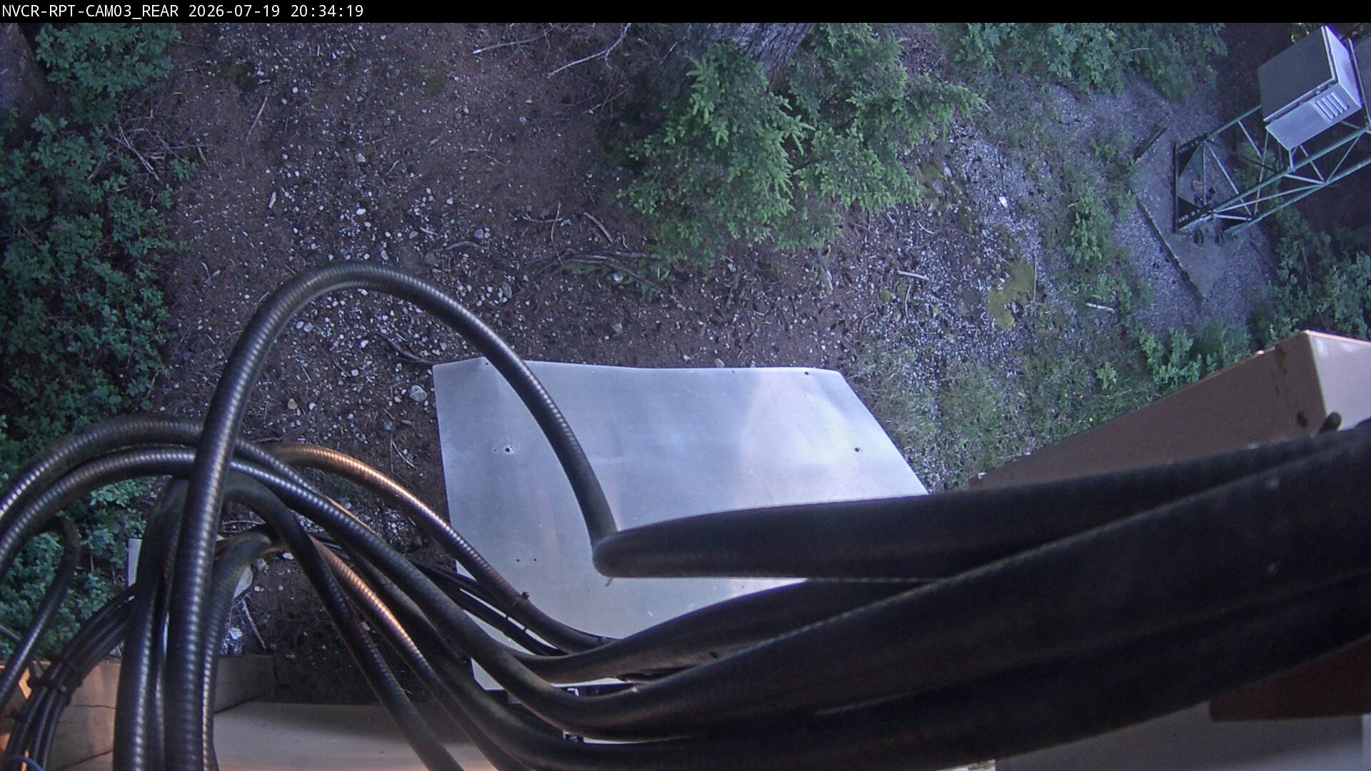 Web Cam History Image - 501