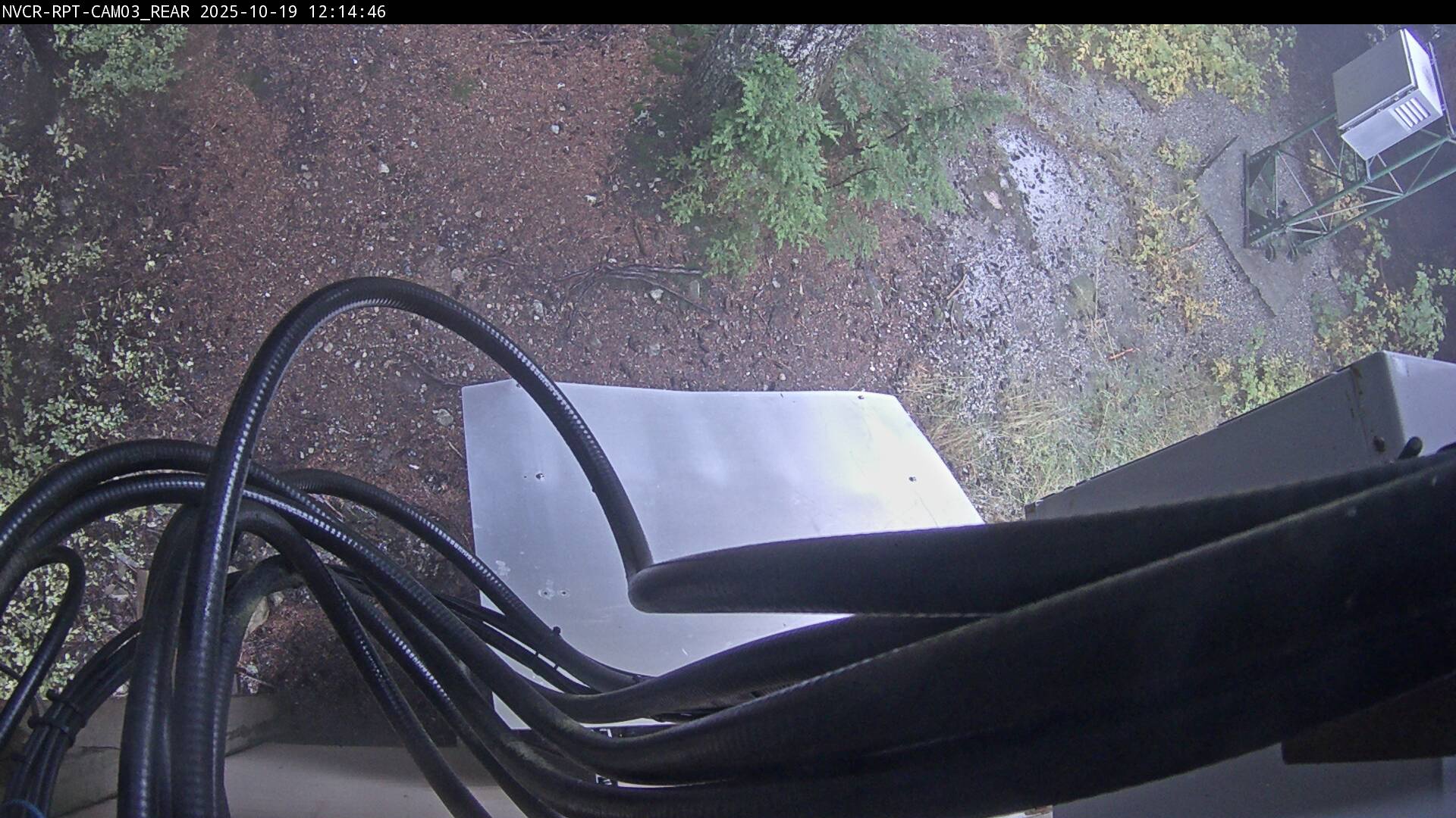 Web Cam History Image - 502