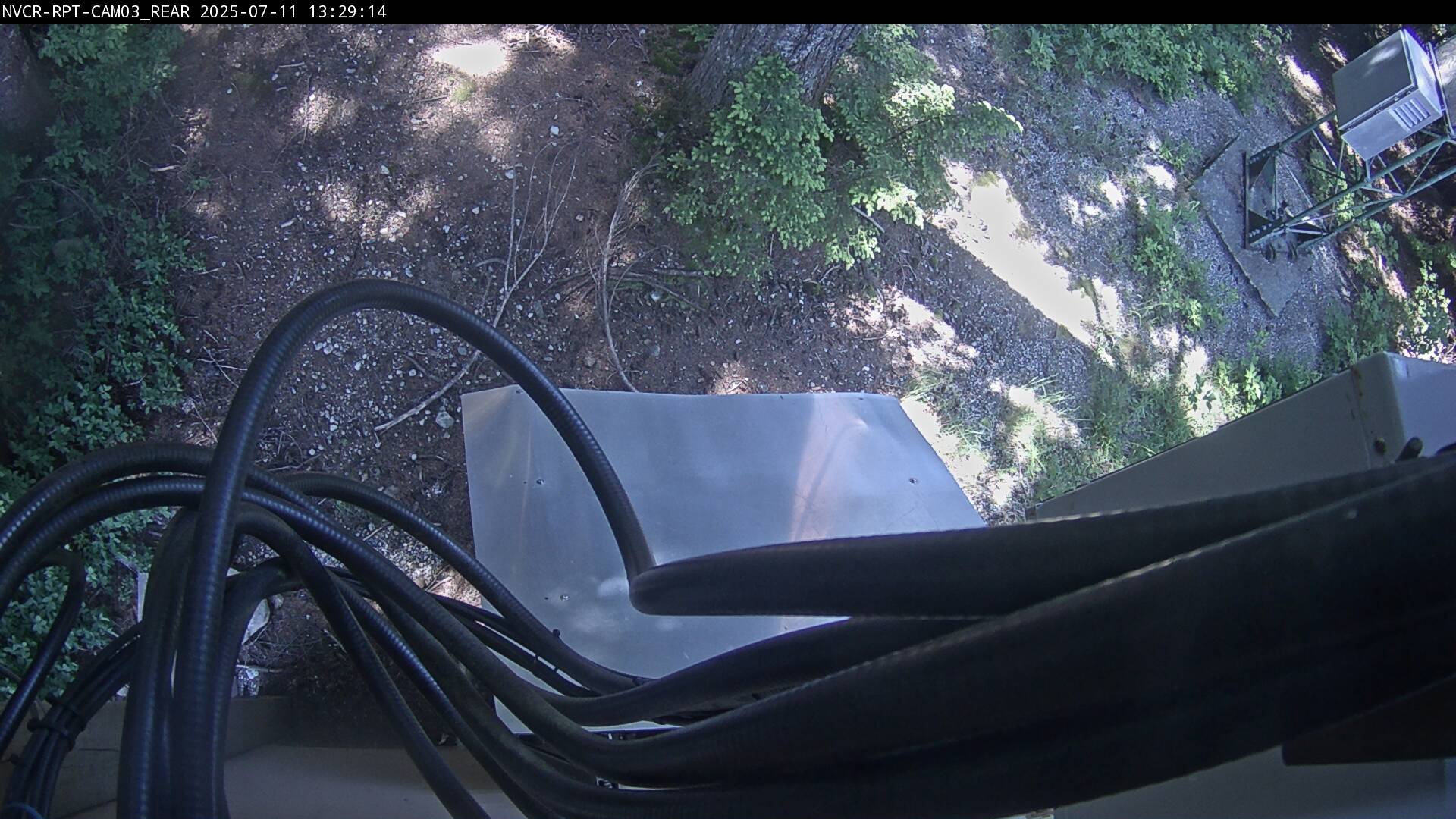 Web Cam History Image - 503