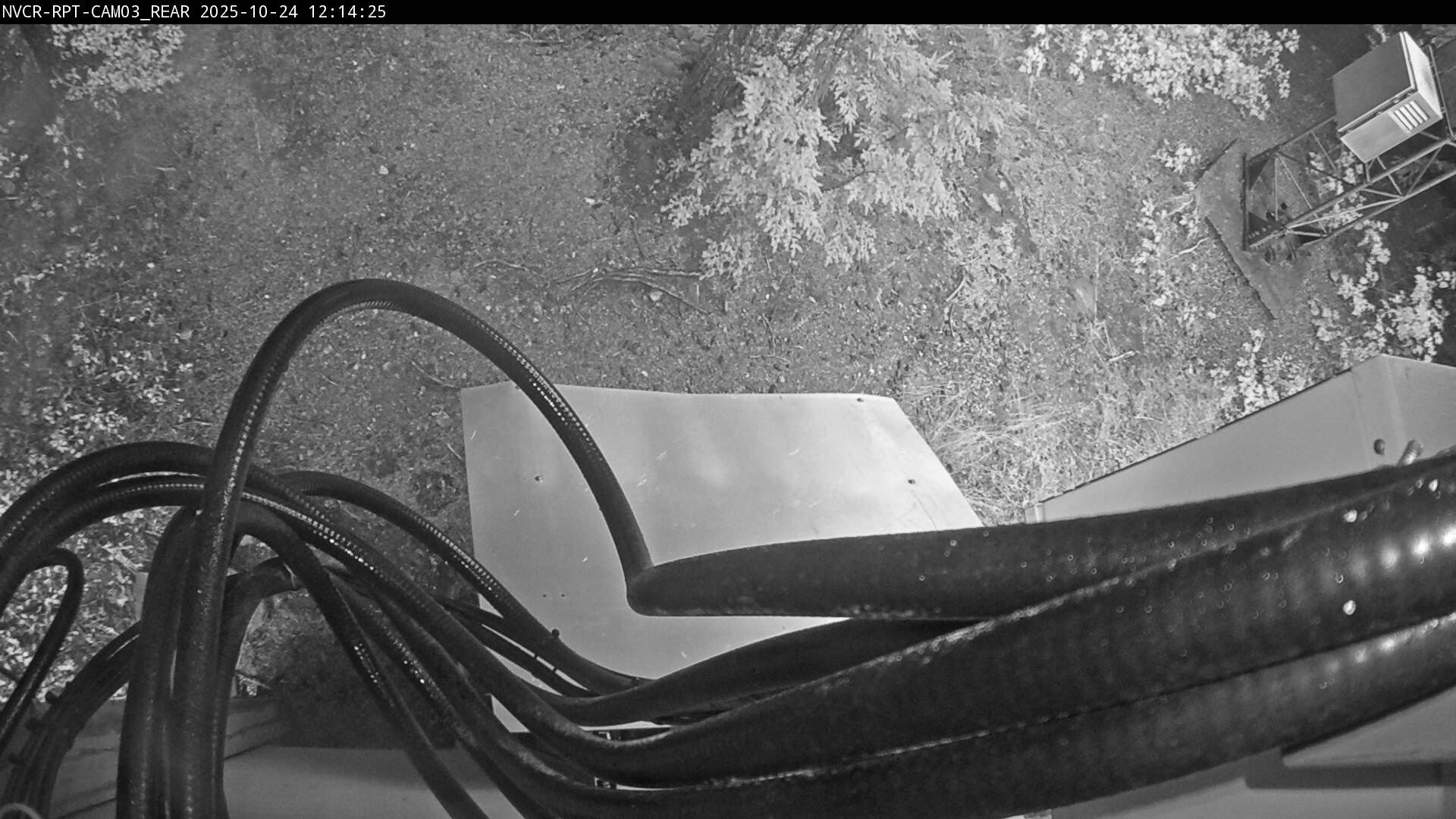 Web Cam History Image - 503