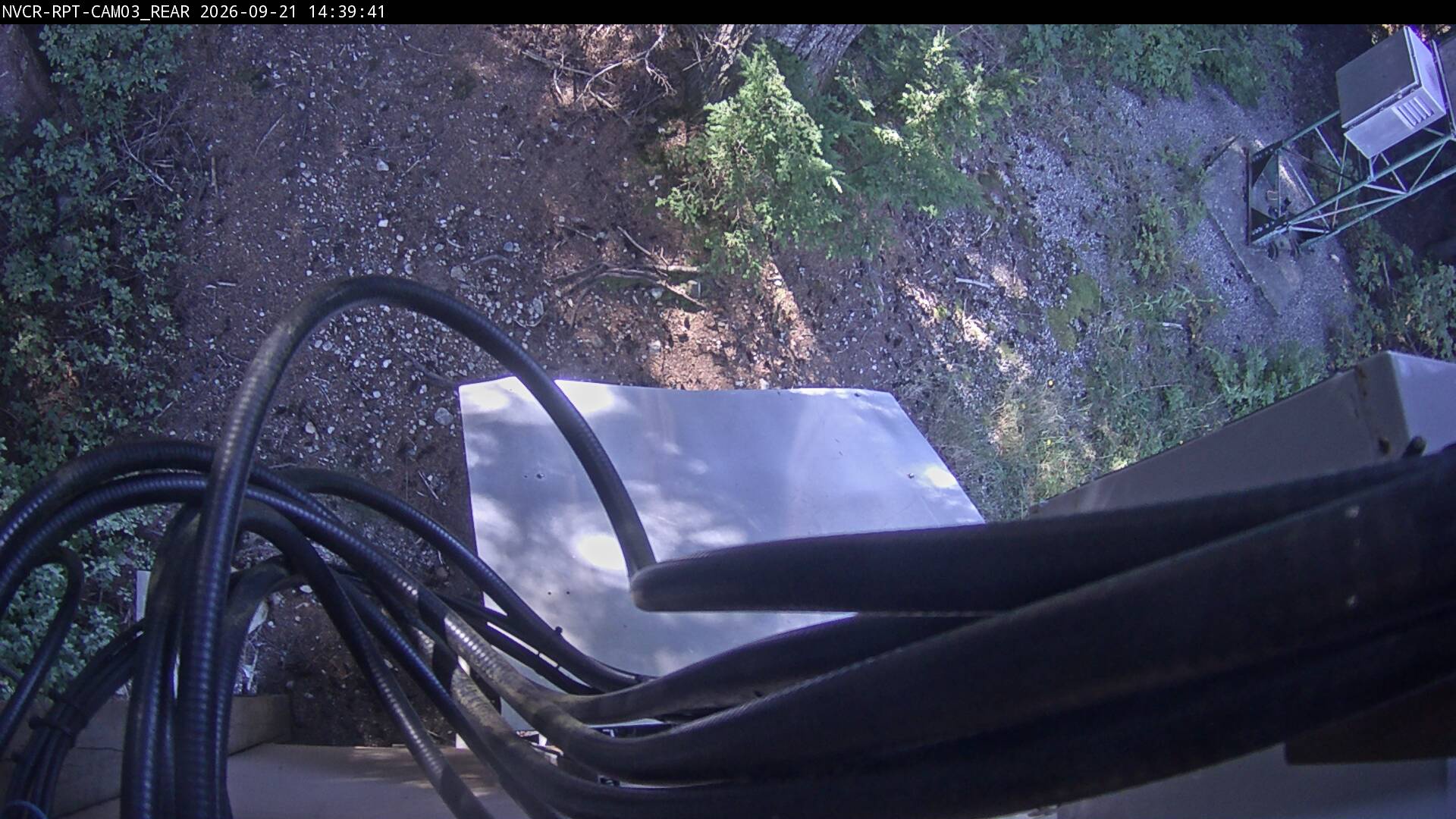 Web Cam History Image - 503