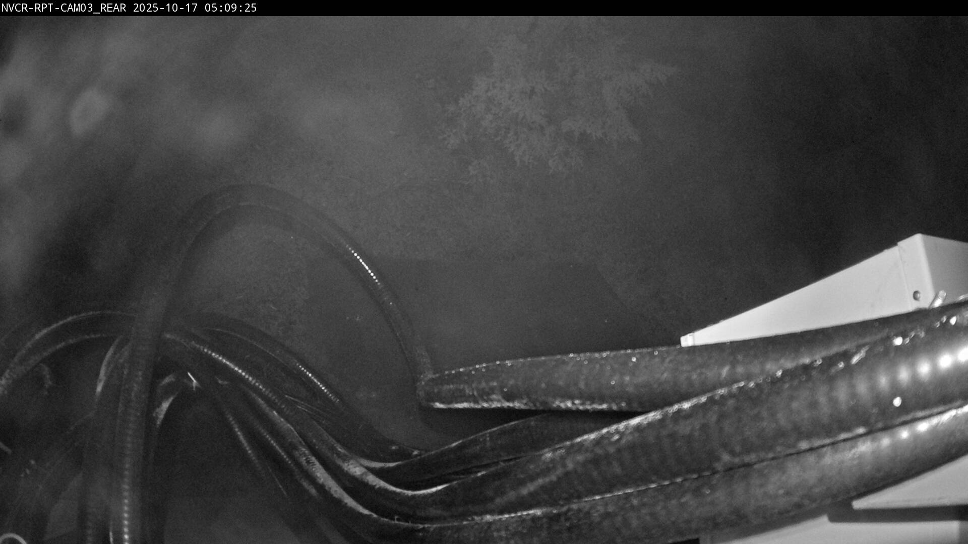 Web Cam History Image - 504