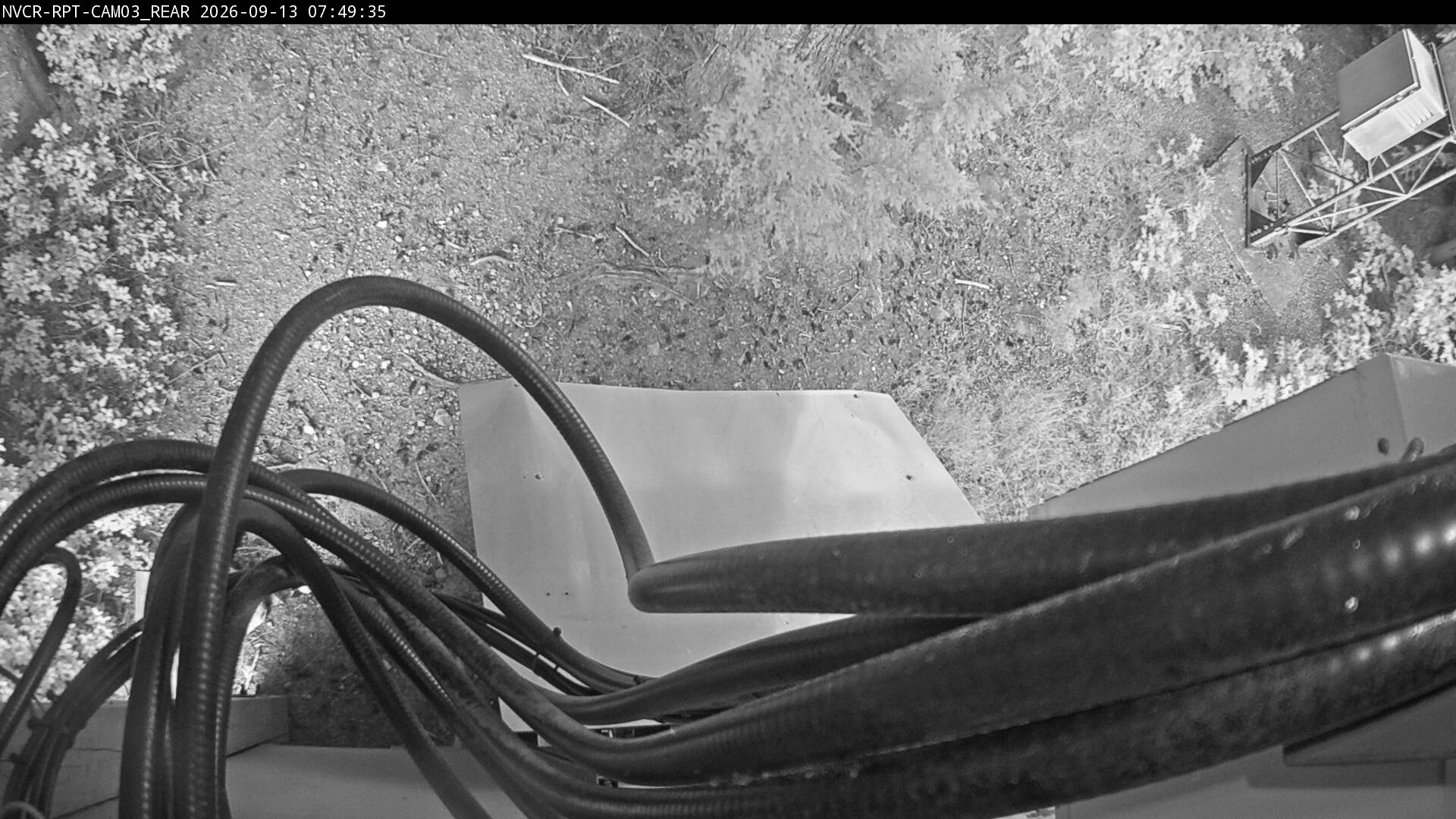Web Cam History Image - 504